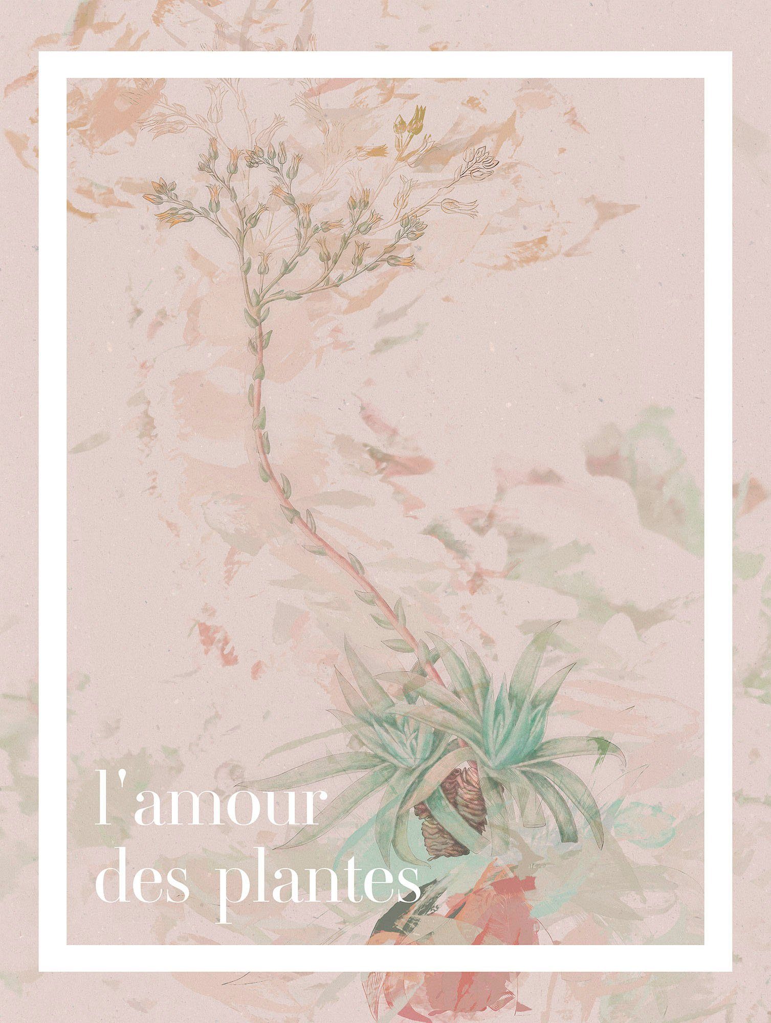 Komar Bild PLANT ART L'amour des plantes, Natur (1 St), Wandbild zur Dekoration - ohne Rahmen