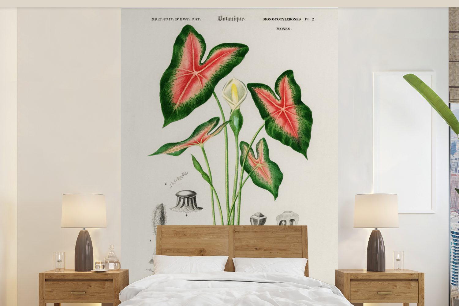 MuchoWow Fototapete Jahrgang - Pflanze - Caladium, Matt, bedruckt, (3 St), Vinyl Tapete für Wohnzimmer oder Schlafzimmer, Wandtapete
