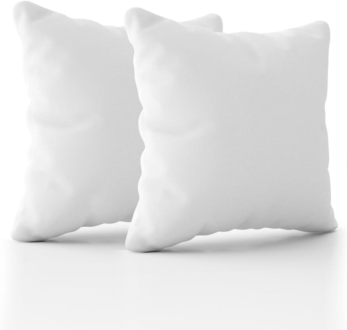 Cozyor Dekokissen Sofakissen prall gefüllt, 100% Polyester weich & allergikerfreundlich, 40 x 40 cm Füllkissen 2er Set Kuschelkissen