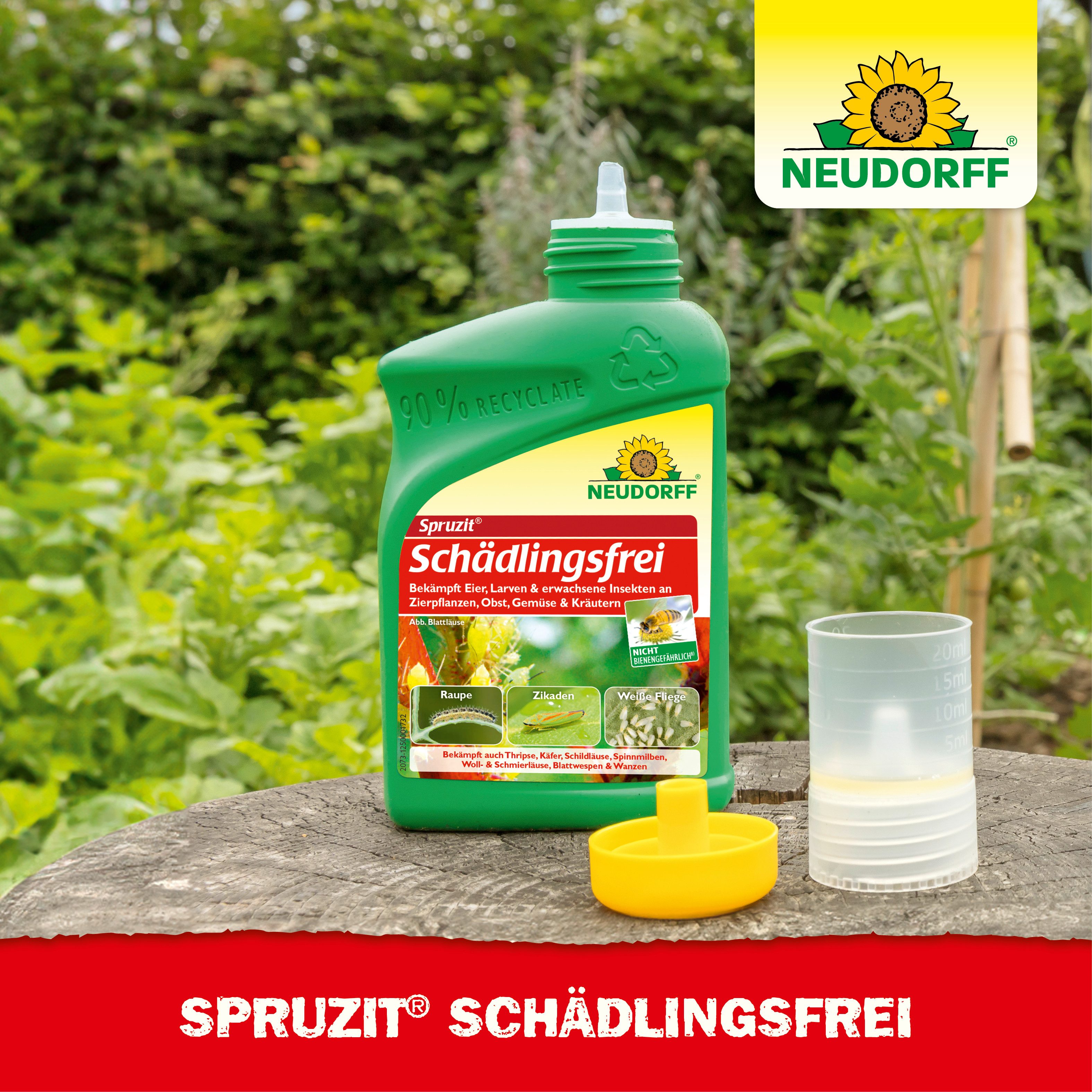 Neudorff Insektenspray Spruzit Schädlingsfrei 250 ml Konzentrat, 250 ml, Für Zierpflanzen, Gemüse & Kirschen in Haus und Garten, Konzentrat gegen zahlreiche Sch – Bild 5 von 5