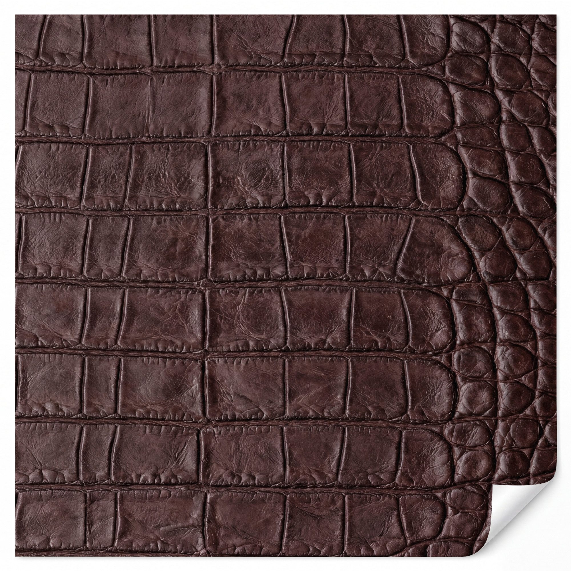 OnlyWow Fototapete Krokodil - Leder - Braun, Matt, bedruckt, Wandtapete, Modern, Wanddekoration, Vinyl Tapete 220x220cm
