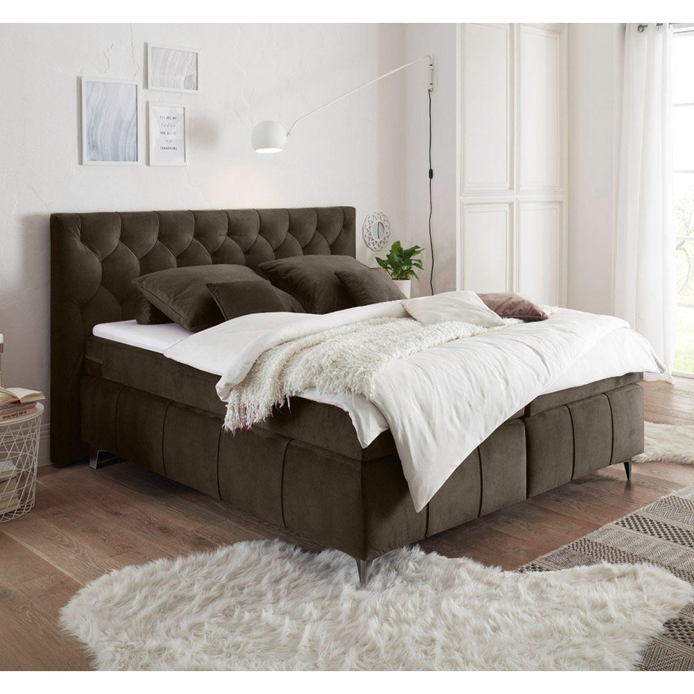 der modernen Farbe cm 180x200 Boxspringbett H2 PETARE-09 Lomadox Härtegrad Boxspringbetten, LOMADOX und in Espresso