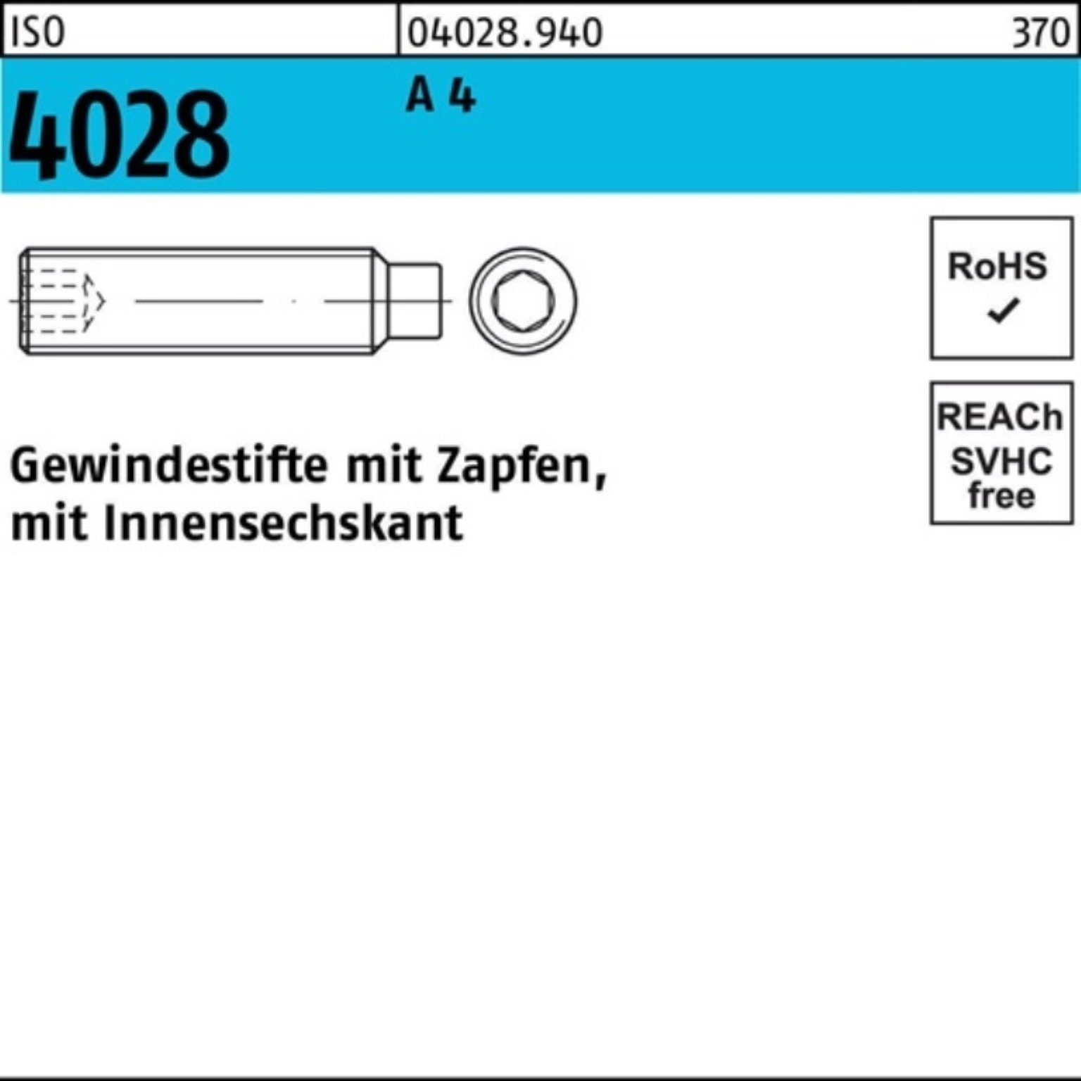 Pack 4028 Reyher A 4 Zapfen/Innen-6kt Stü ISO 30 M10x 100 Gewindebolzen 100er Gewindestift