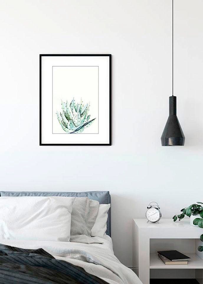 Pflanzen Blätter, St), Watercolor, Aloe Wohnzimmer (1 Kinderzimmer, Schlafzimmer, Poster Komar