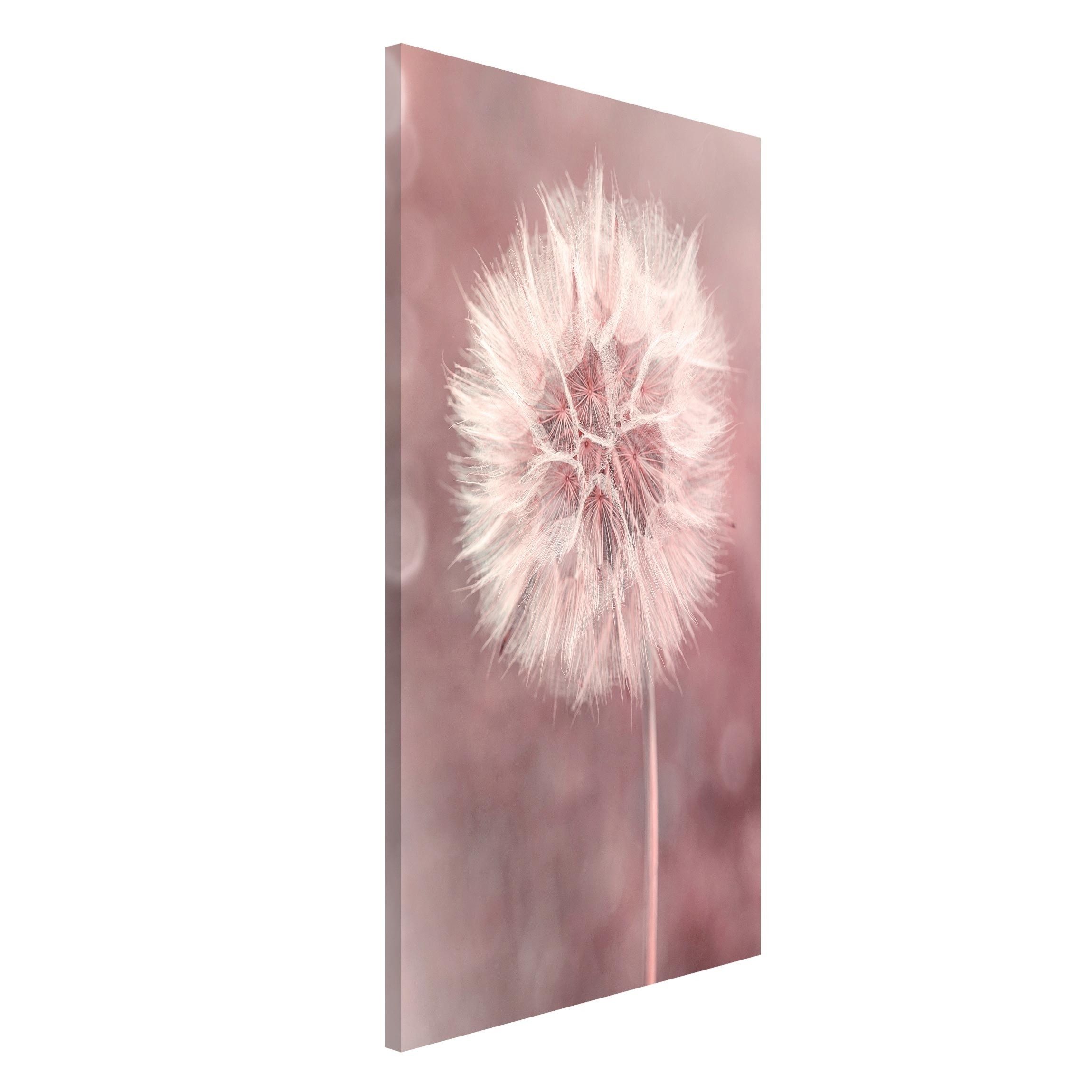 Bilderdepot24 Magnettafel Küche rosa Pusteblume Bokeh rosa, (1-tlg., Magnetboard Pinnwand für die Wand - metallische Tafel für Magnete), Magnetwand groß mit Motiv Büro Memoboard magnetisch