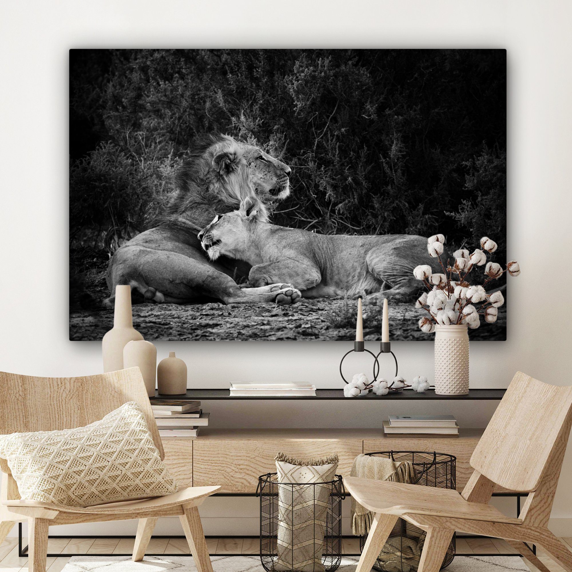 OneMillionCanvasses® Leinwandbild Löwen - für Wilde (1 St), cm Wandbild - Tiere, XXL, großes, Schwarz alle 120x80 Gemälde, Wohnbereiche
