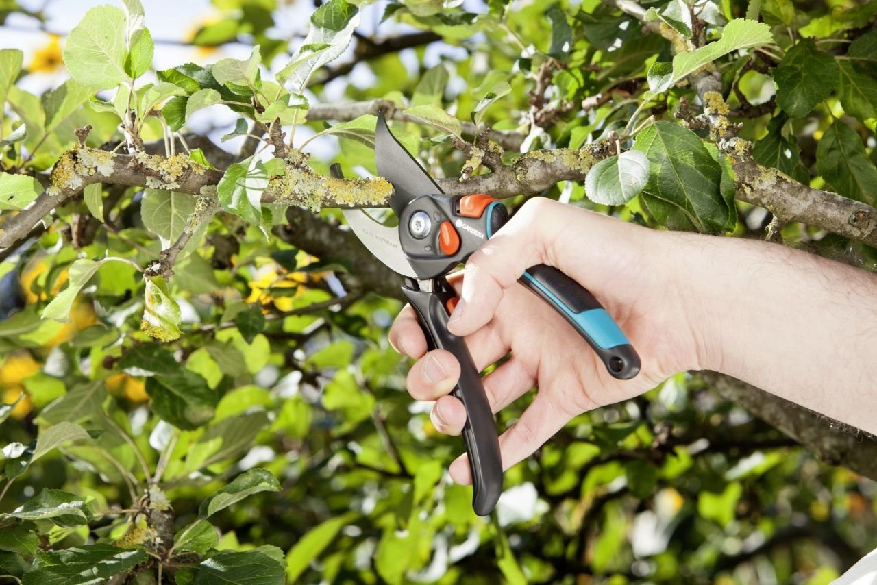 GARDENA Gartenschere Gardena Gartenschere B/S-XL bis günstig online kaufen