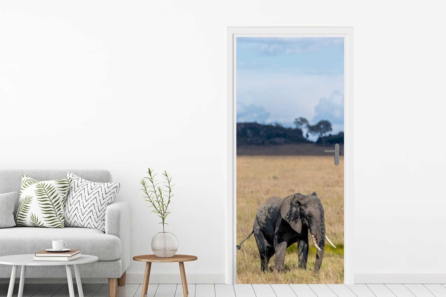 MuchoWow Türtapete Elefant - - Tür, 75x205 Natur, Gras bedruckt, Türaufkleber, cm - Tiere Fototapete St), (1 Matt, für