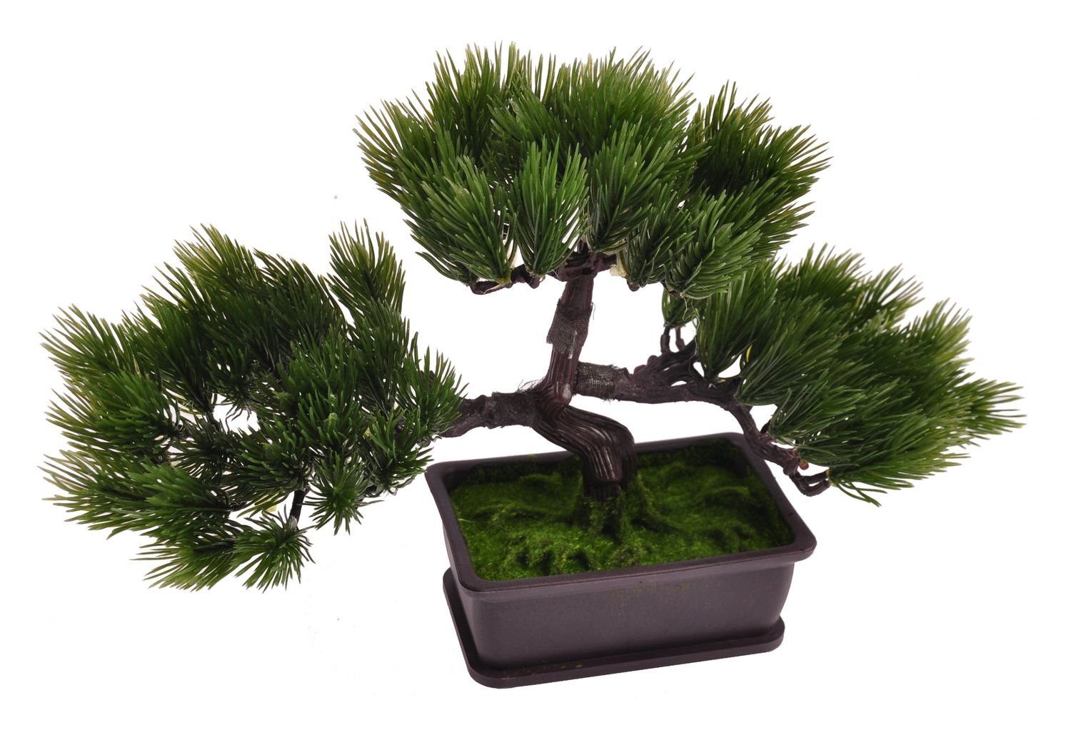 Kunstpflanze Künstlicher Bonsai-Baum im Topf 26x21x13cm Kunstpflanze Tischdeko Fens, BURI
