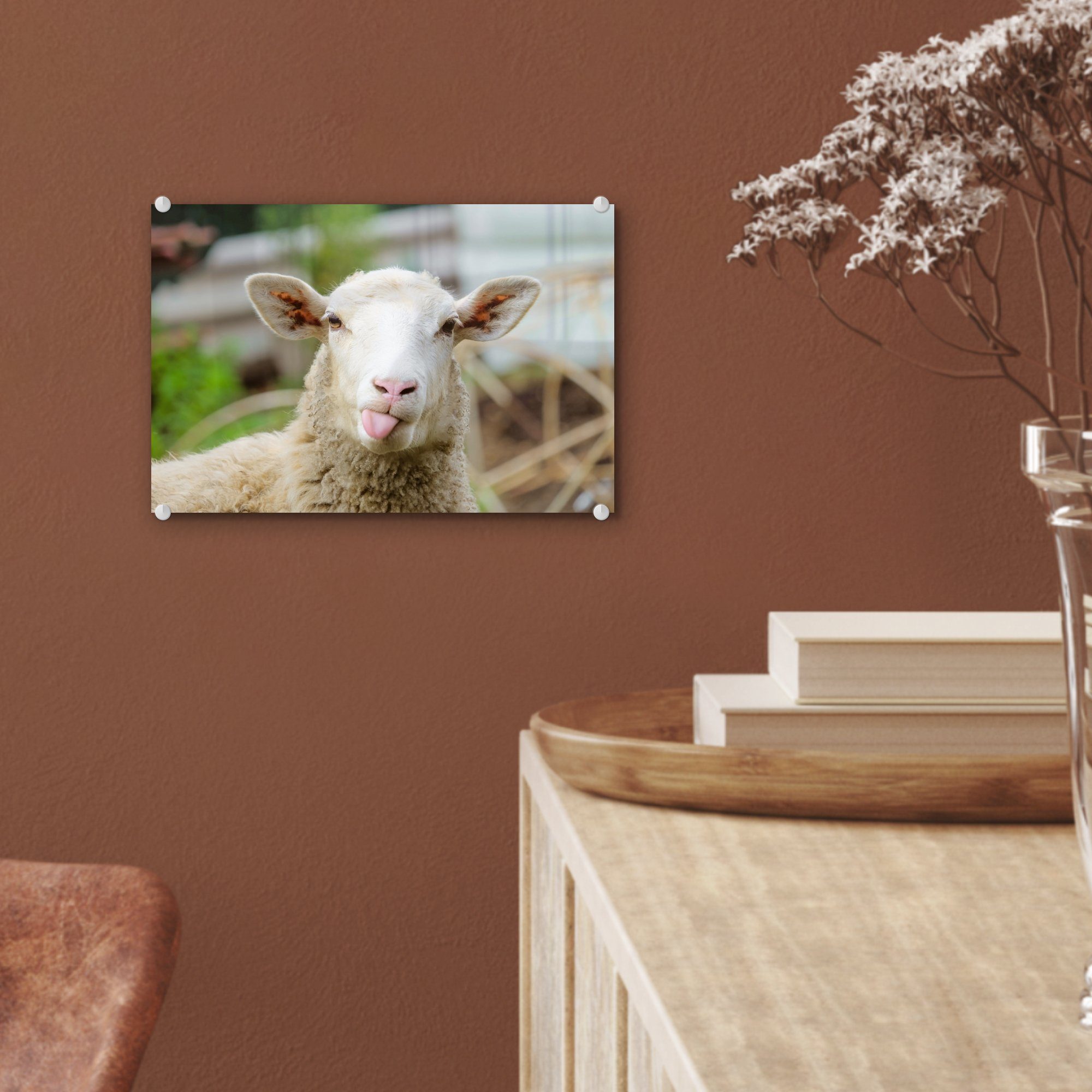 auf auf Glas Glas Wolle, - St), Acrylglasbild (1 Wandbild Wanddekoration - MuchoWow Schafe Foto Tiere Bilder - - - Glasbilder
