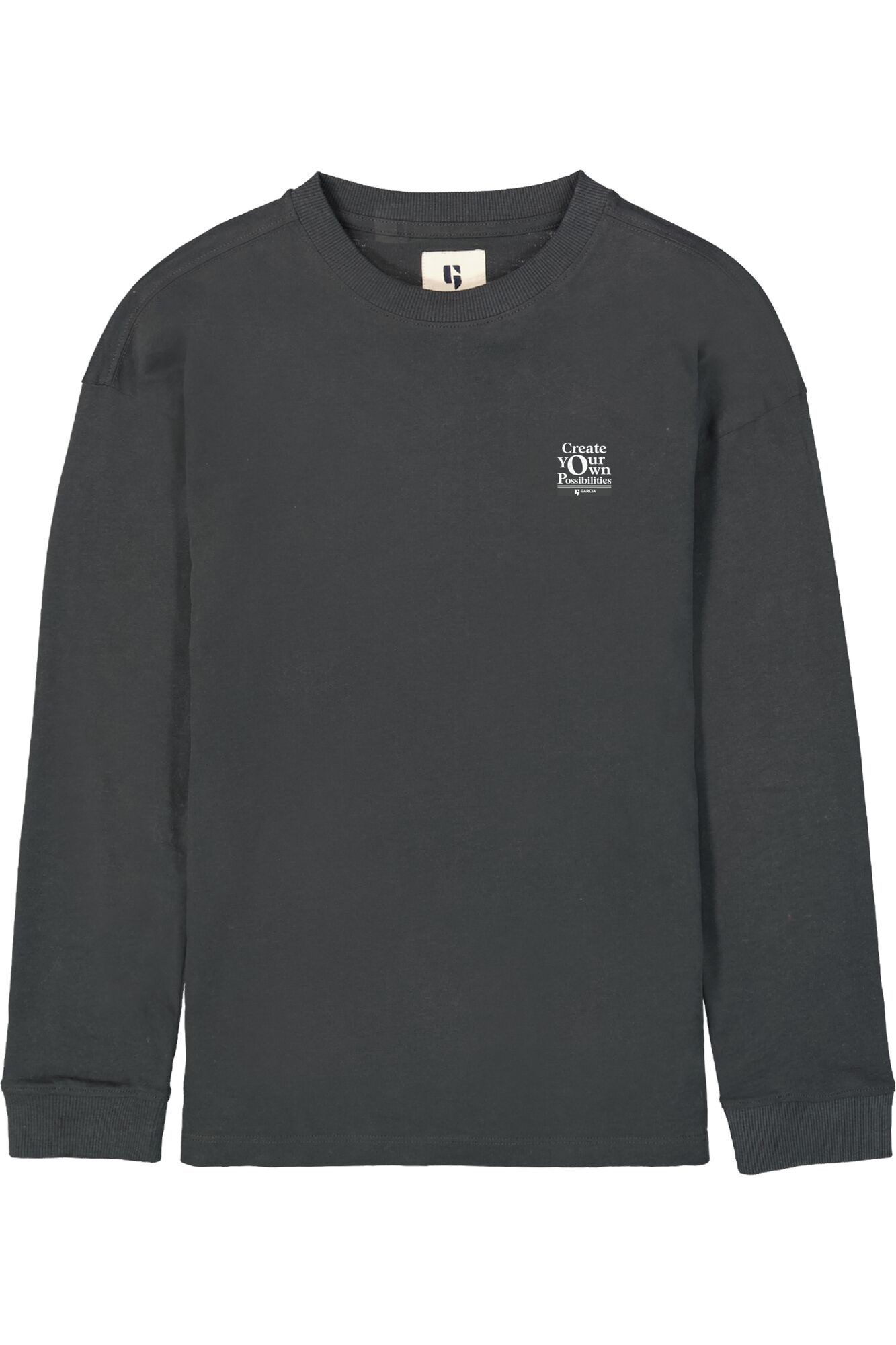 Langarmshirt Langarmshirt mit Rückenprint in Grau (G-S43402-2884)