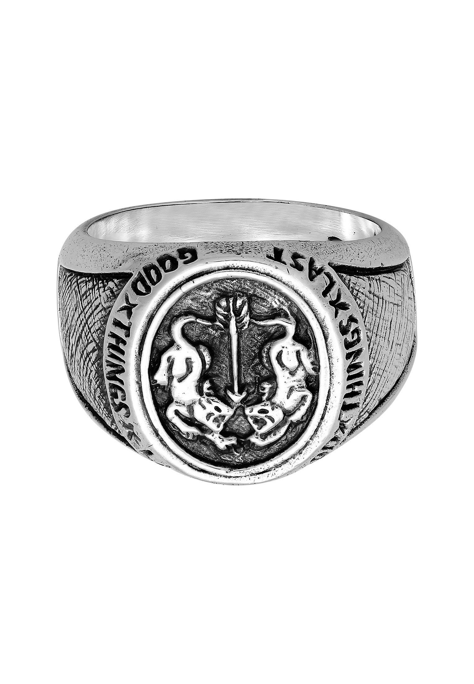 HAZE & GLORY Siegelring Siegelring - Twin Tiger 925 Silber günstig online kaufen