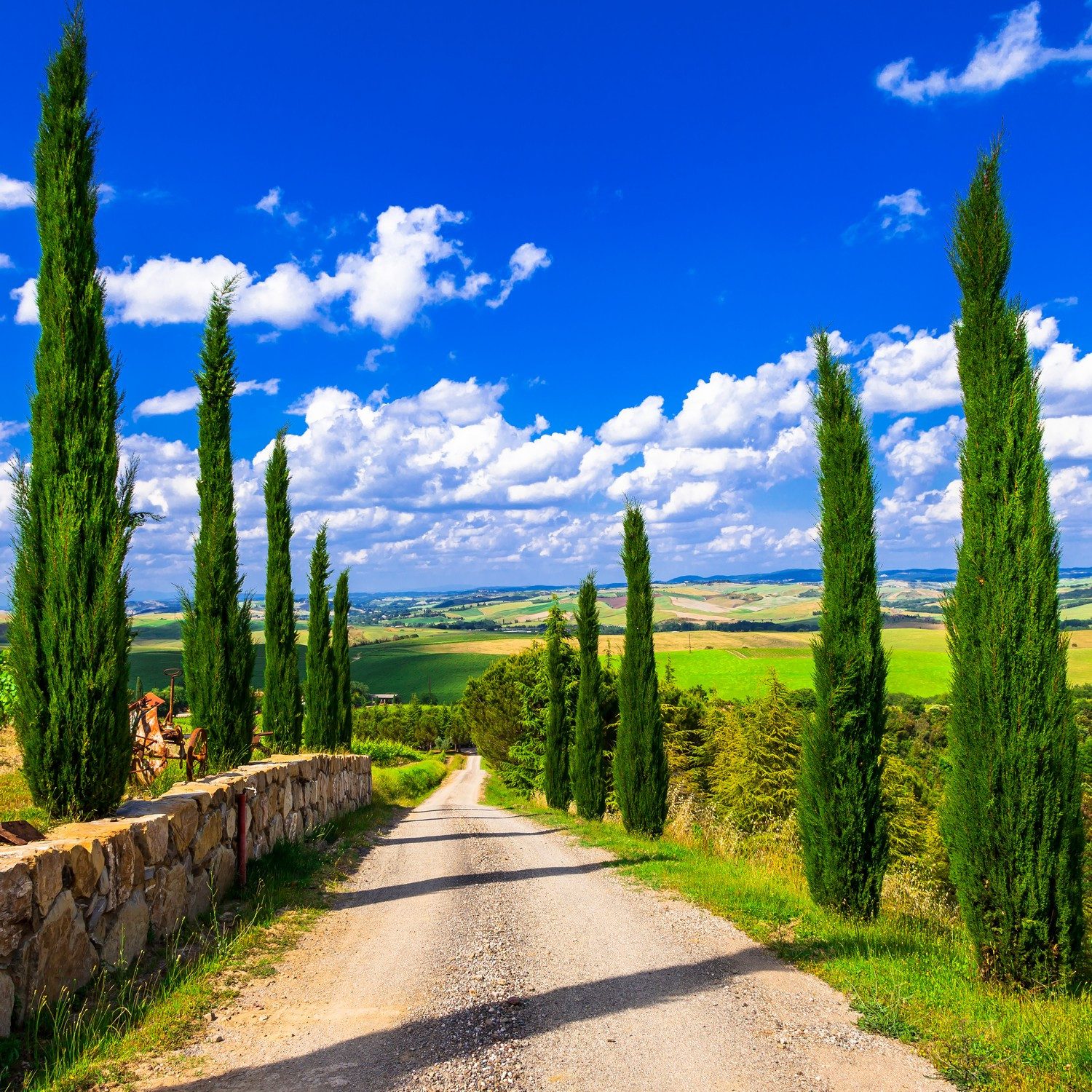 Wallario Möbelfolie Zypressenweg in der Toskana