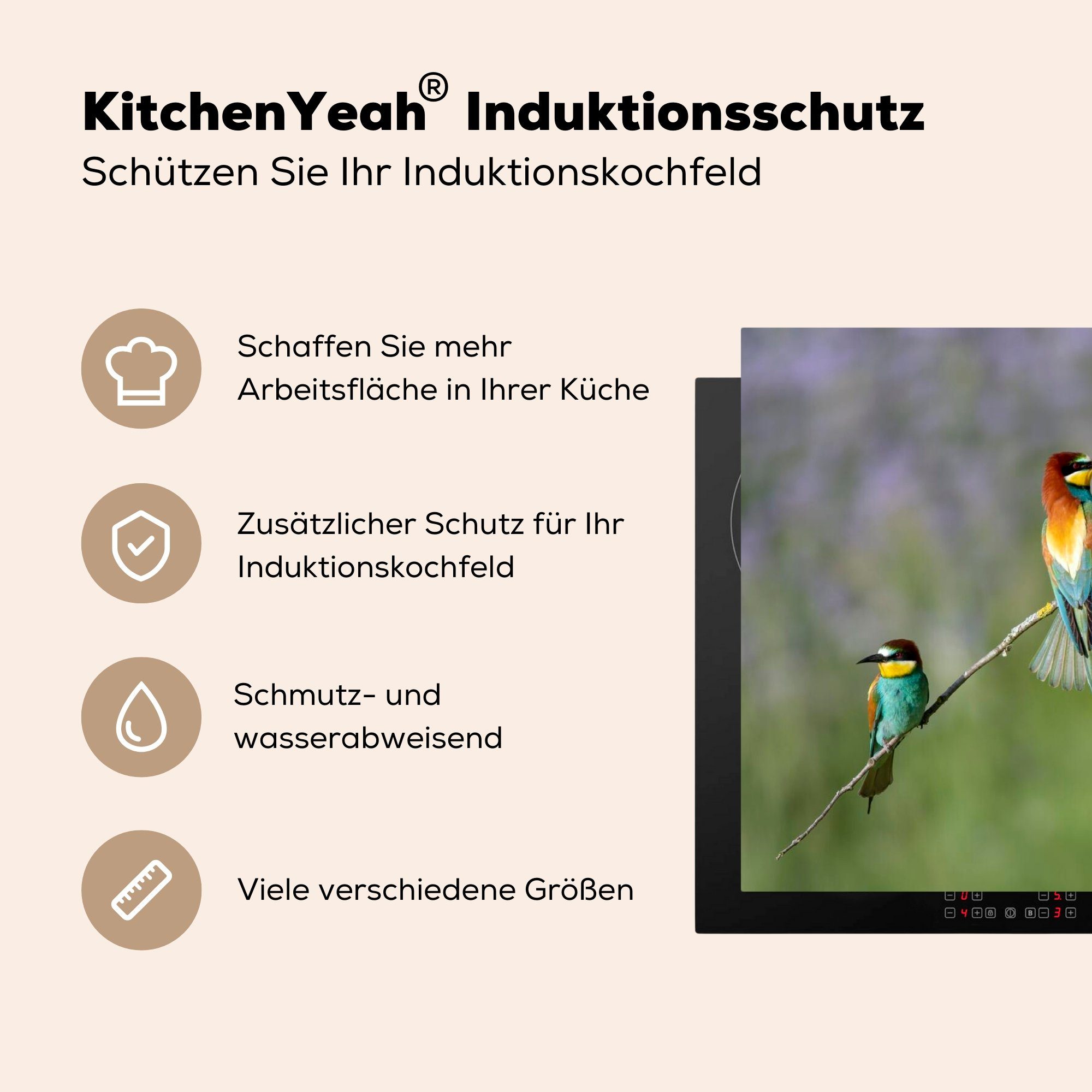 einem Bienenfresser Ceranfeldabdeckung, Vier Arbeitsplatte MuchoWow sitzen Herdblende-/Abdeckplatte für küche (1 auf Ast, tlg), 83x51 Vinyl, cm, gebogenen