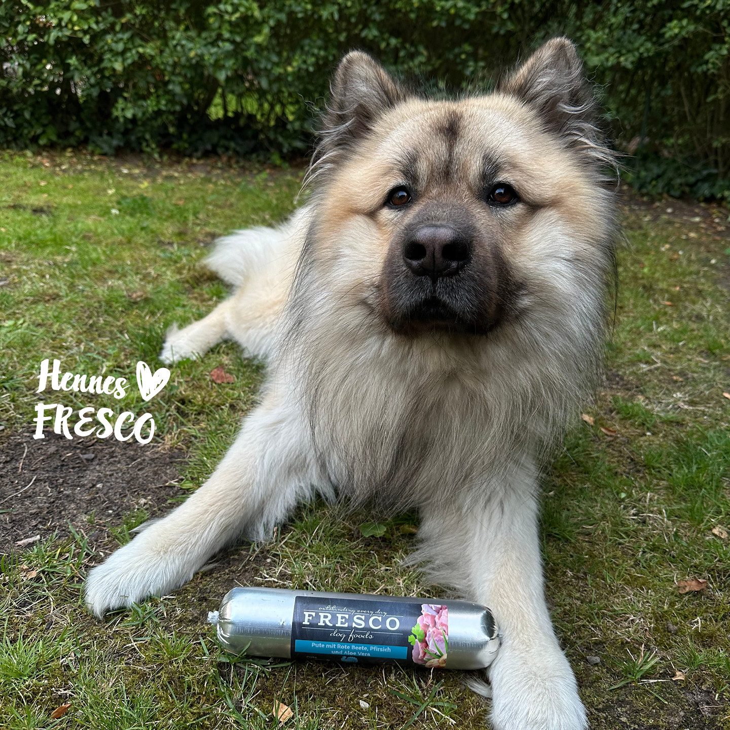 Fresco Dog BARF Hundewurst schnittfest Pute I 2 x 400g, Nassfutter für: Hunde, 86% Frischfleisch, getreidefrei & vitaminreich