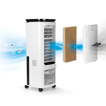 Hoberg Kombigerät Luftreiniger, Ventilator und Heizlüfter Luftkühler mit Peltier-Element, 4 Stufen Luftbefeuchter Timer mobil
