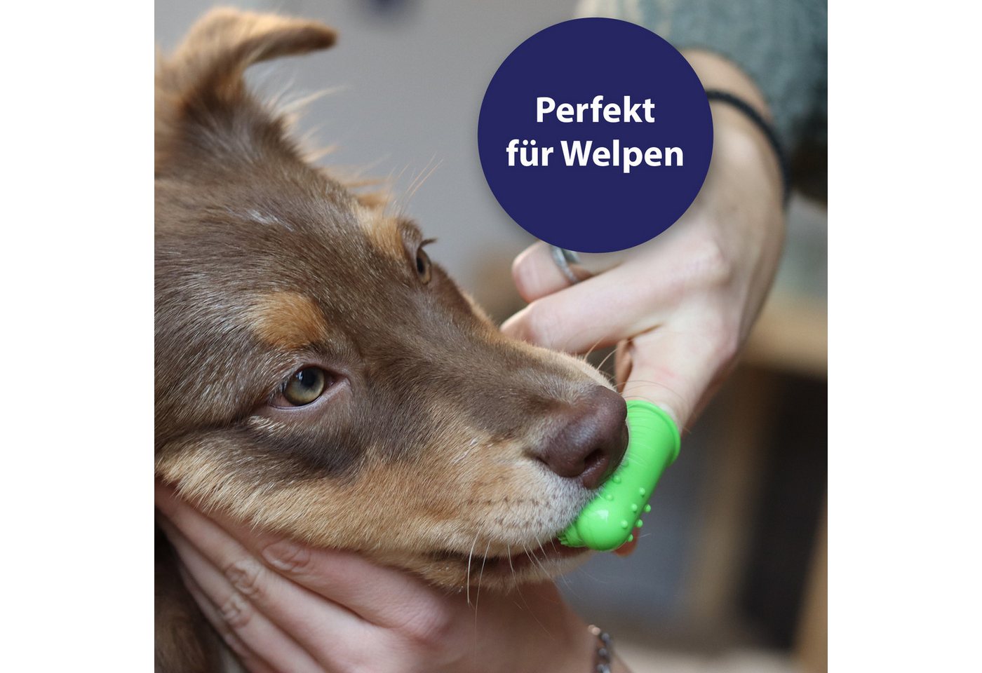 Thumbnail - Canosept Fellpflege Canosept Zahnpflege Finger-Bürsten 3er