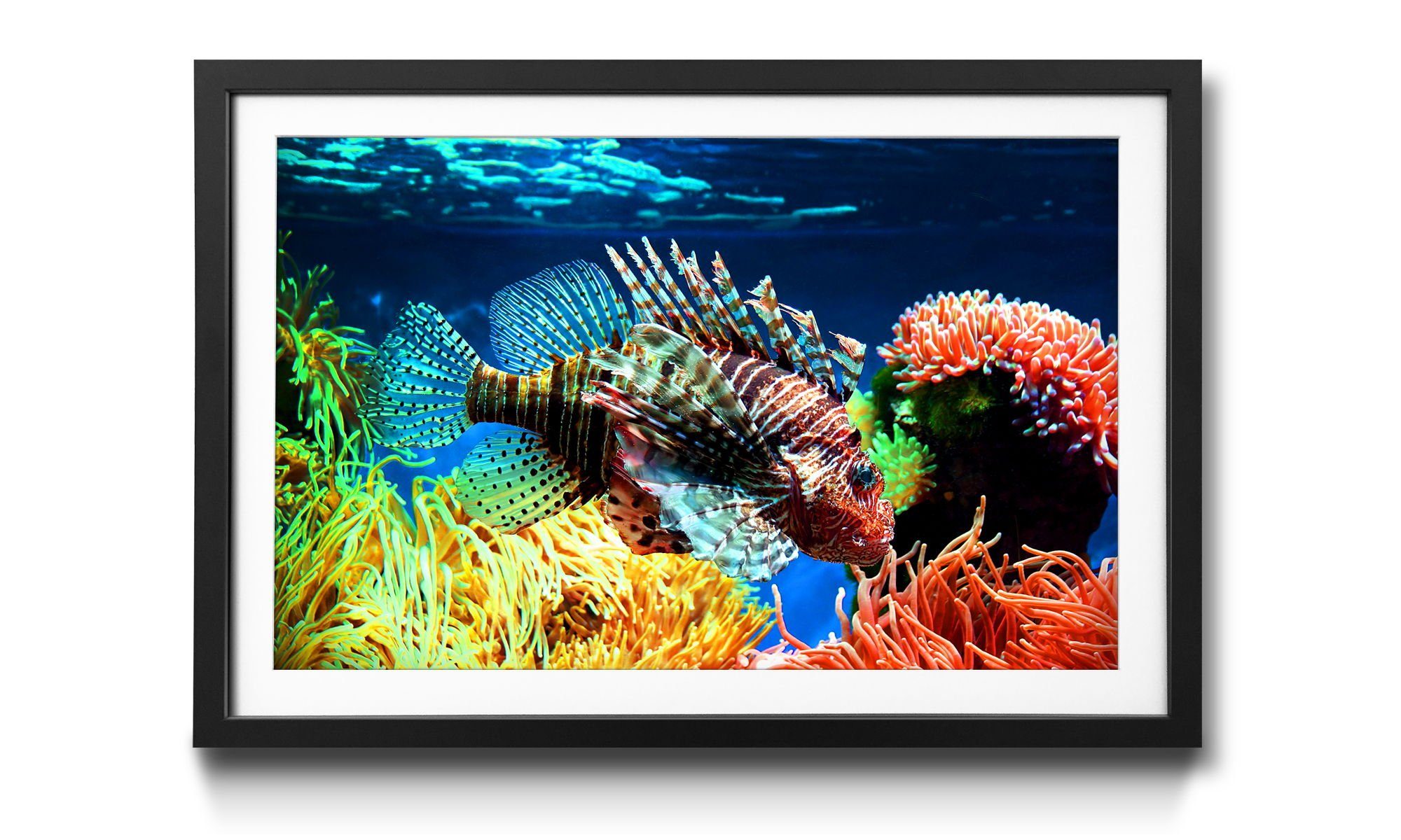 WandbilderXXL Bild mit Rahmen Lovely Reef, Fische, Wandbild, in 4 Größen erhältlich