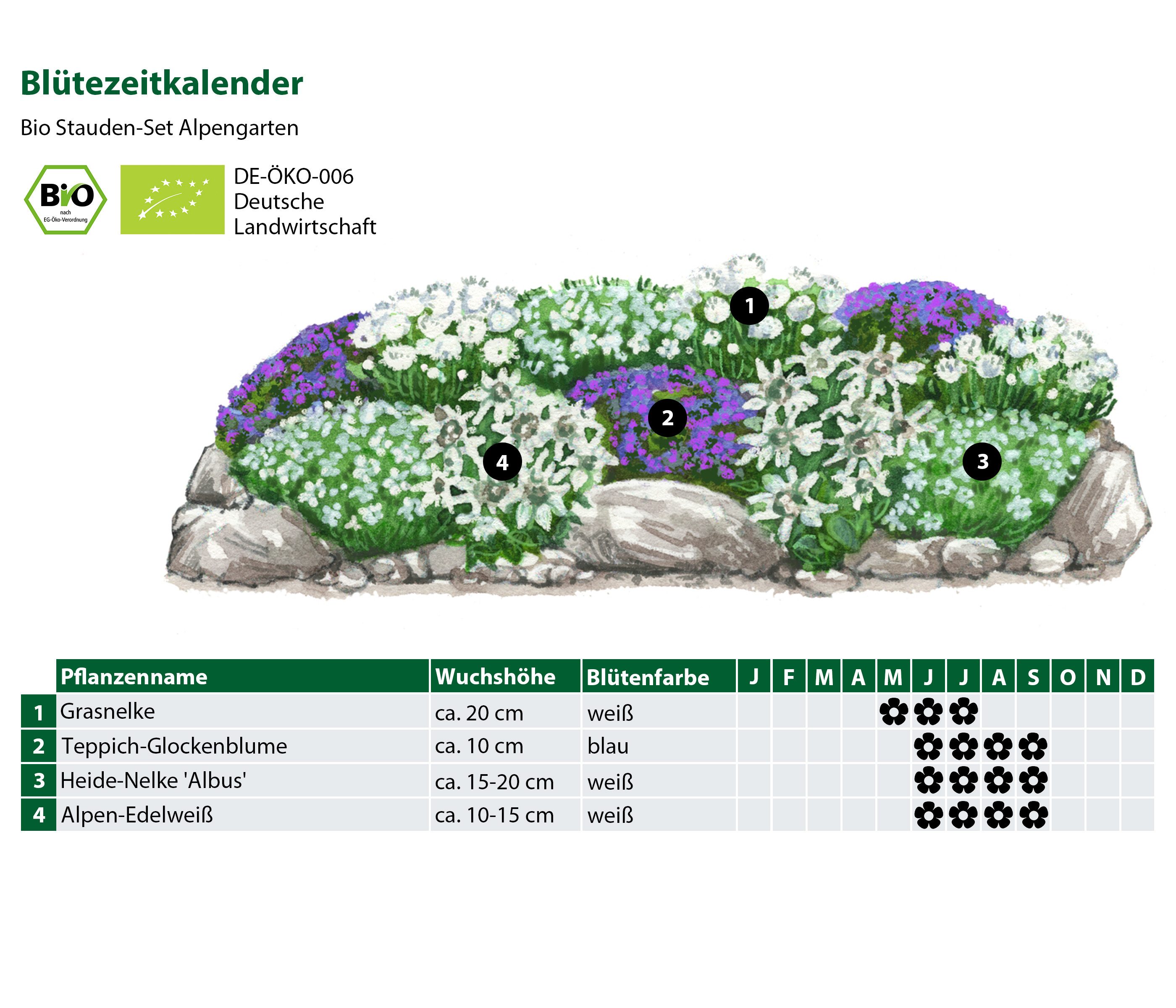 Dehner Staude Bio Stauden-Set Alpengarten, je 5-20 cm, Ø Topf 9 cm, mehrjährige insektenfreundliche Gartenstauden, Farben blau und weiß