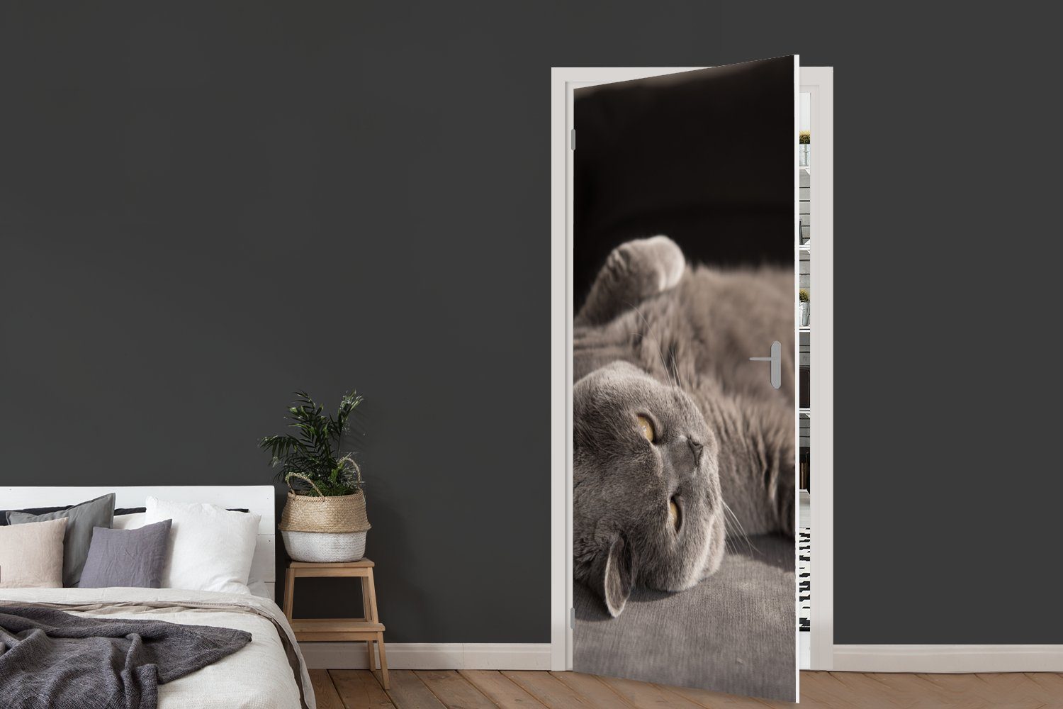 MuchoWow Fototapete St), (1 - cm Türtapete Tier Türaufkleber, 75x205 Katze - Tür, für bedruckt, Grau, Matt,