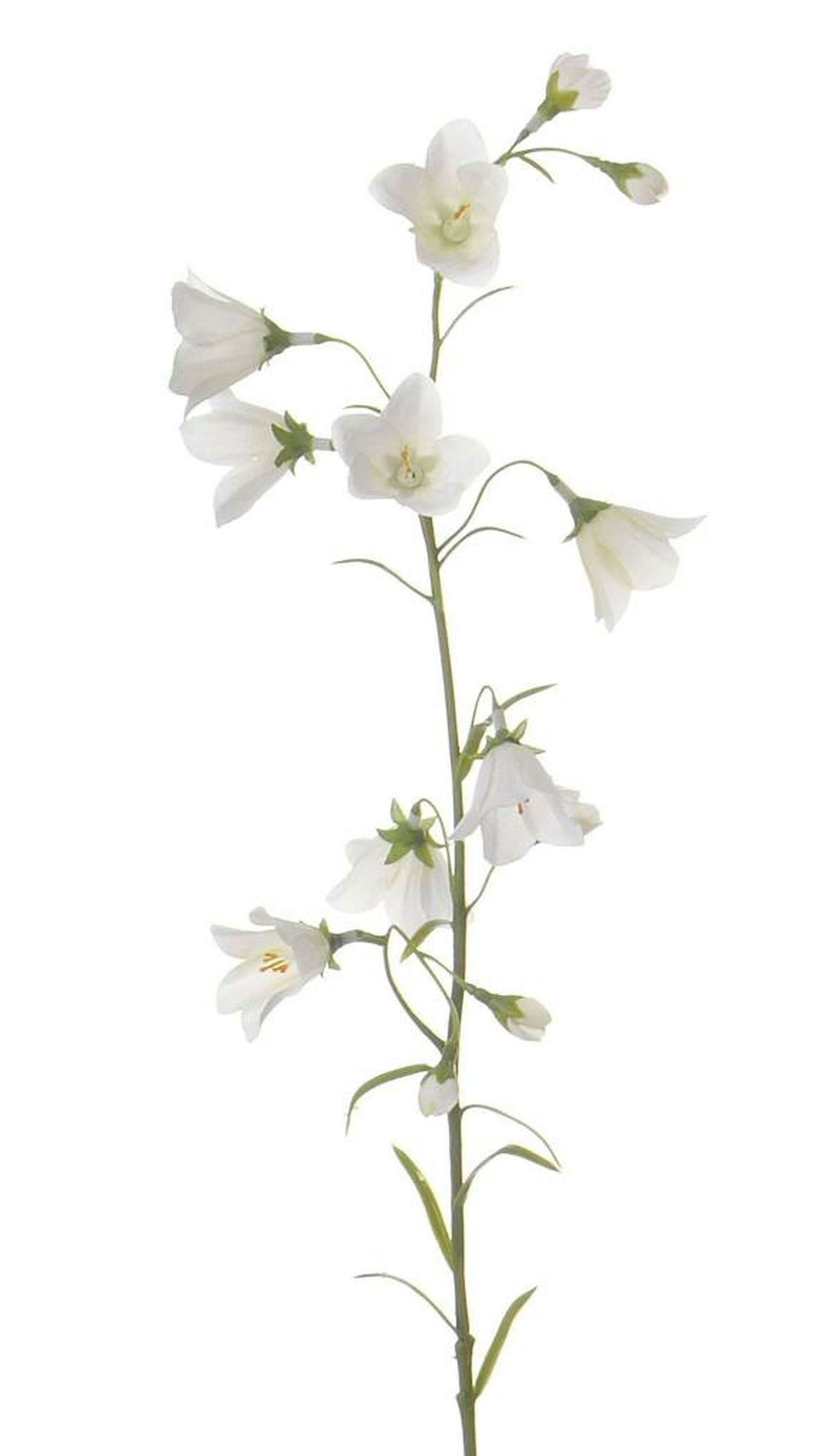 Kunstblume Deko Blume Glockenblume GISELA, weiß, 65cm, Ø1-4cm Glockenblume, artplants, Höhe 65 cm