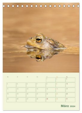 CALVENDO Wandkalender Waldmomente (Tischkalender 2024 DIN A5 hoch), CALVENDO Monatskalender