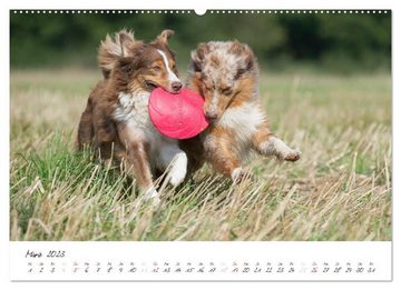 CALVENDO Wandkalender Wunderbare Australian Shepherds (Premium, hochwertiger DIN A2 Wandkalender 2023, Kunstdruck in Hochglanz)