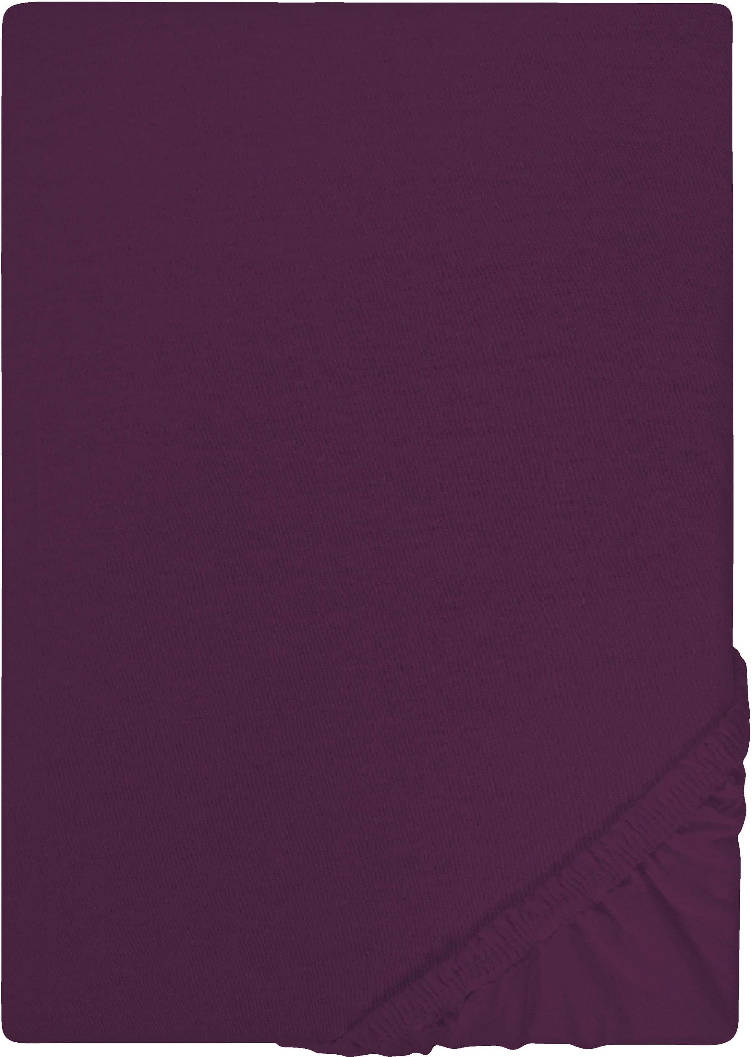 Castell - Markenbettwäsche Spannbettlaken Jersey in günstig online kaufen