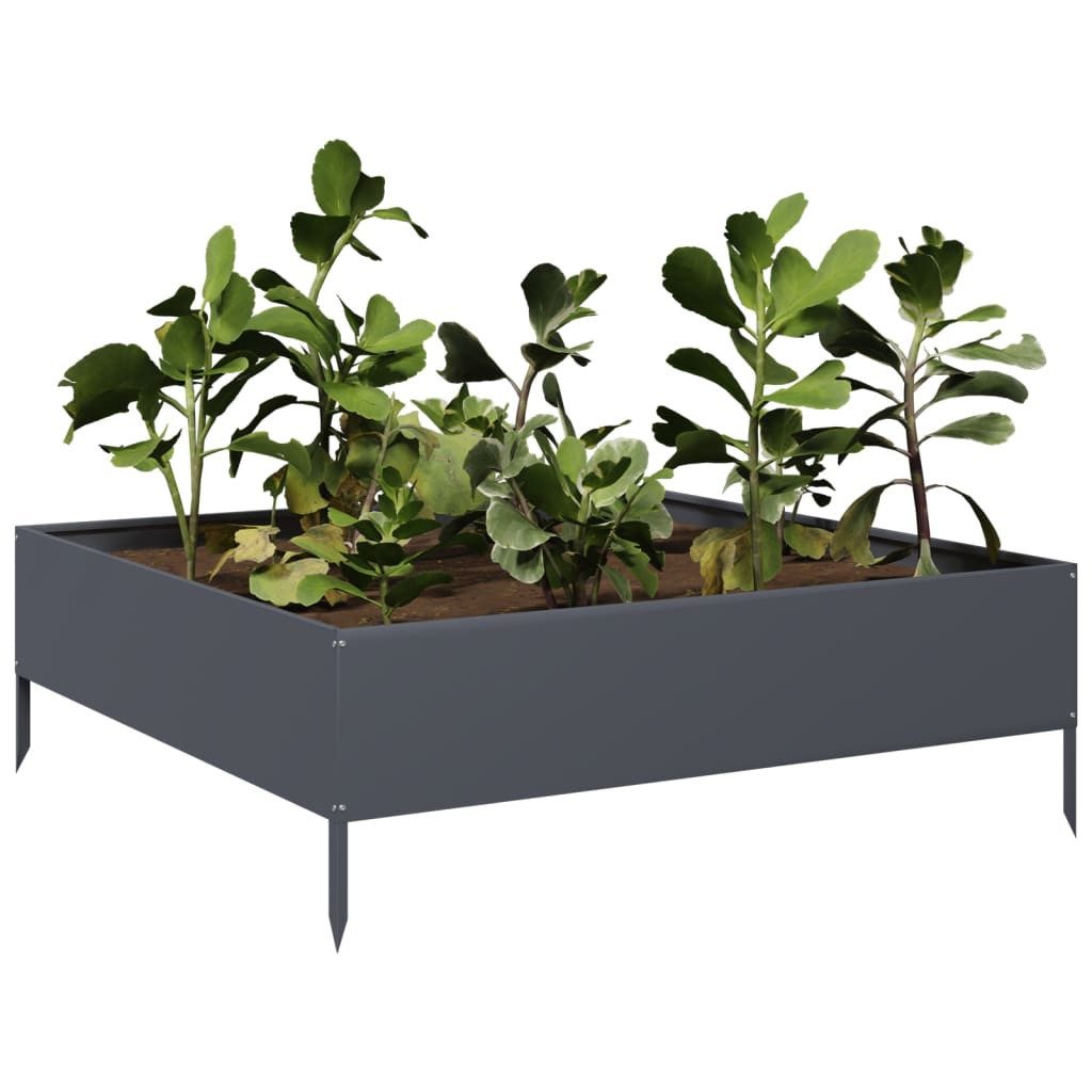 vidaXL Hochbeet Hochbeet Anthrazit 100x100x33,5 cm Stahl (1 St)