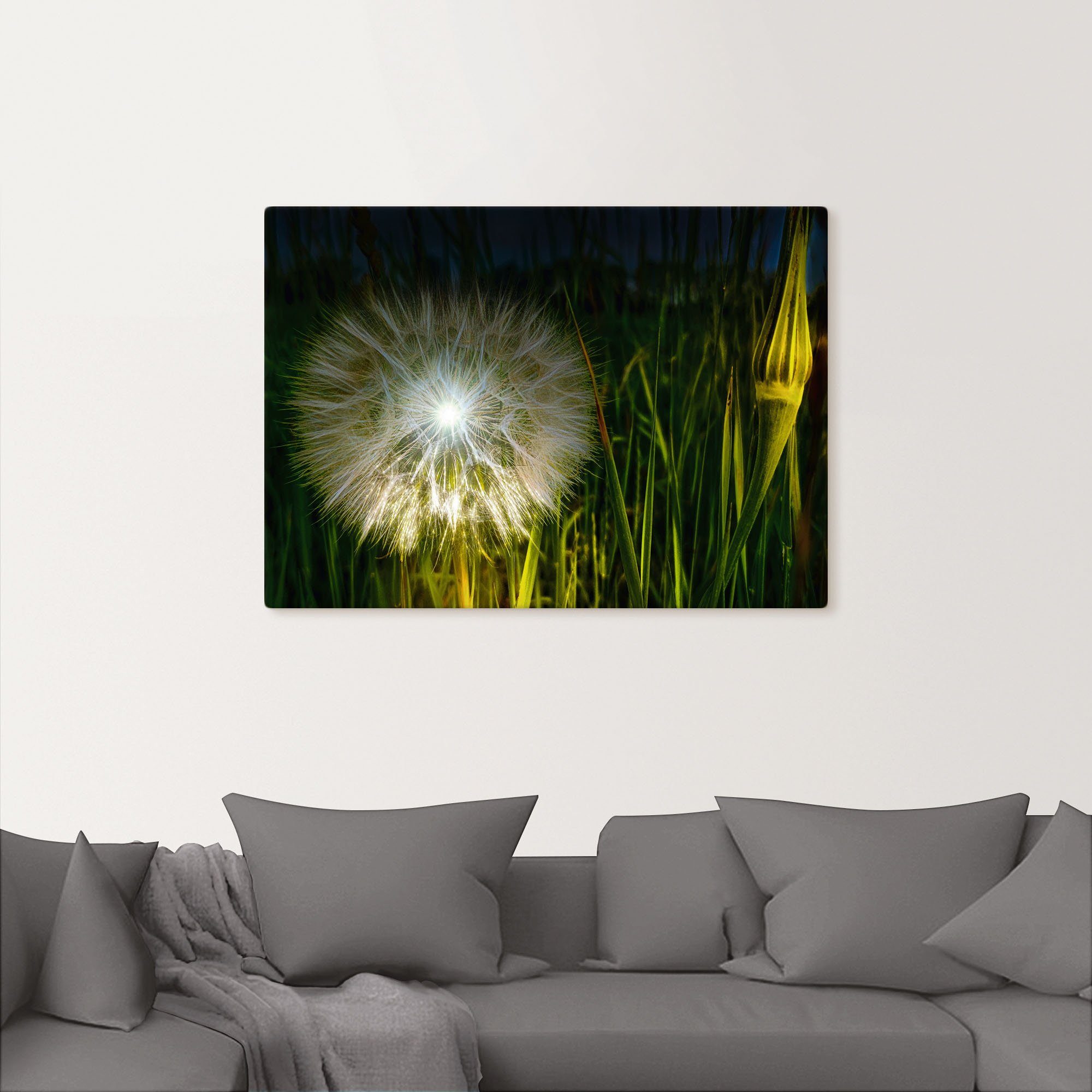 oder Artland Blumenbilder Wandbild Nachts versch. als St), Alubild, (1 Pusteblume Poster Wandaufkleber Leinwandbild, in beleuchtet., Größen