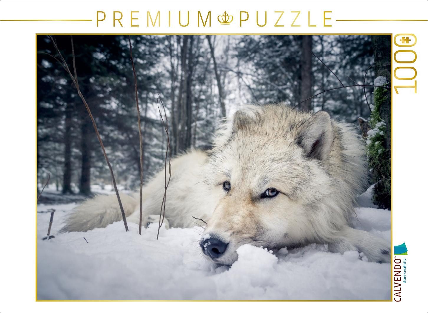 CALVENDO Puzzle CALVENDO Puzzle Grau wolf 1000 Teile Puzzle quer, 1000 pieces, finish, 1000 Puzzleteile