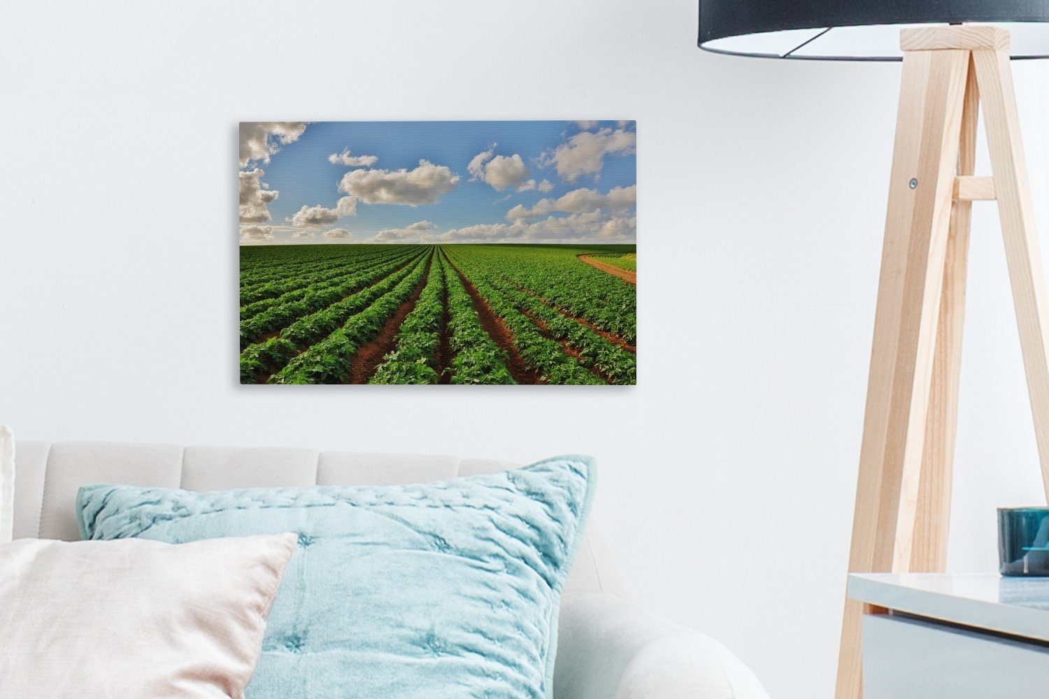 OneMillionCanvasses® Leinwandbild Wandbild Wanddeko, - Kartoffeln, Leinwandbilder, 30x20 - cm (1 Aufhängefertig, Pflanzen Bauernhof St)