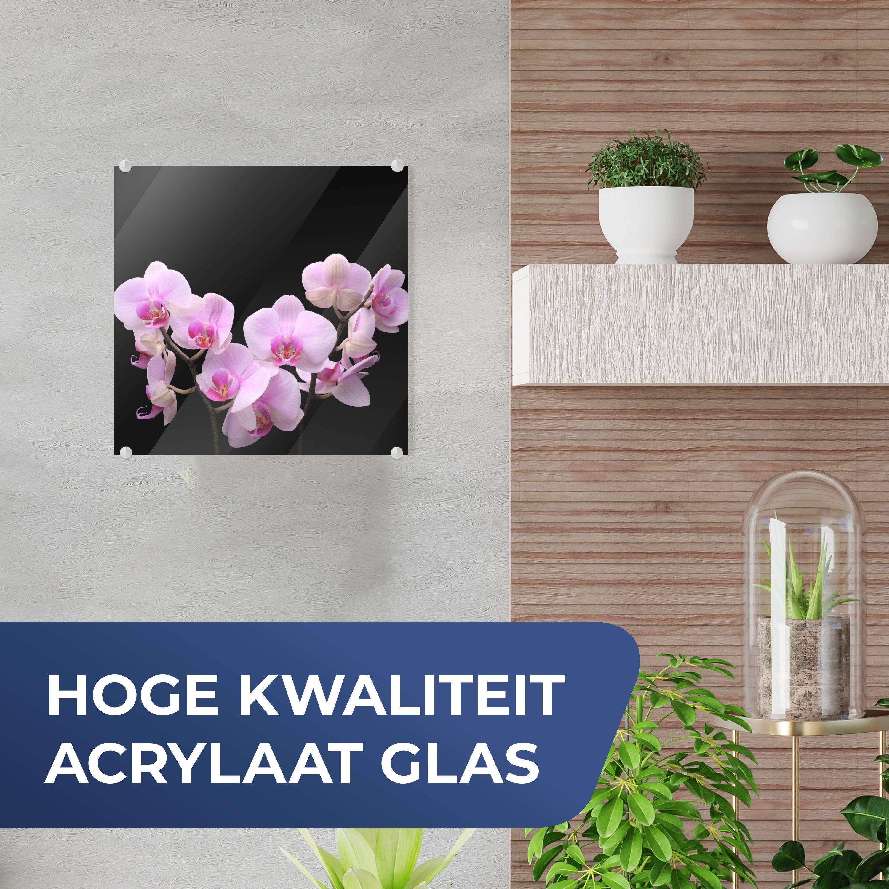 MuchoWow Acrylglasbild Orchidee - Blumen - günstig online kaufen