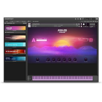 Native Instruments Spielzeug-Musikinstrument, KOMPLETE 12 - VST Software Instrument