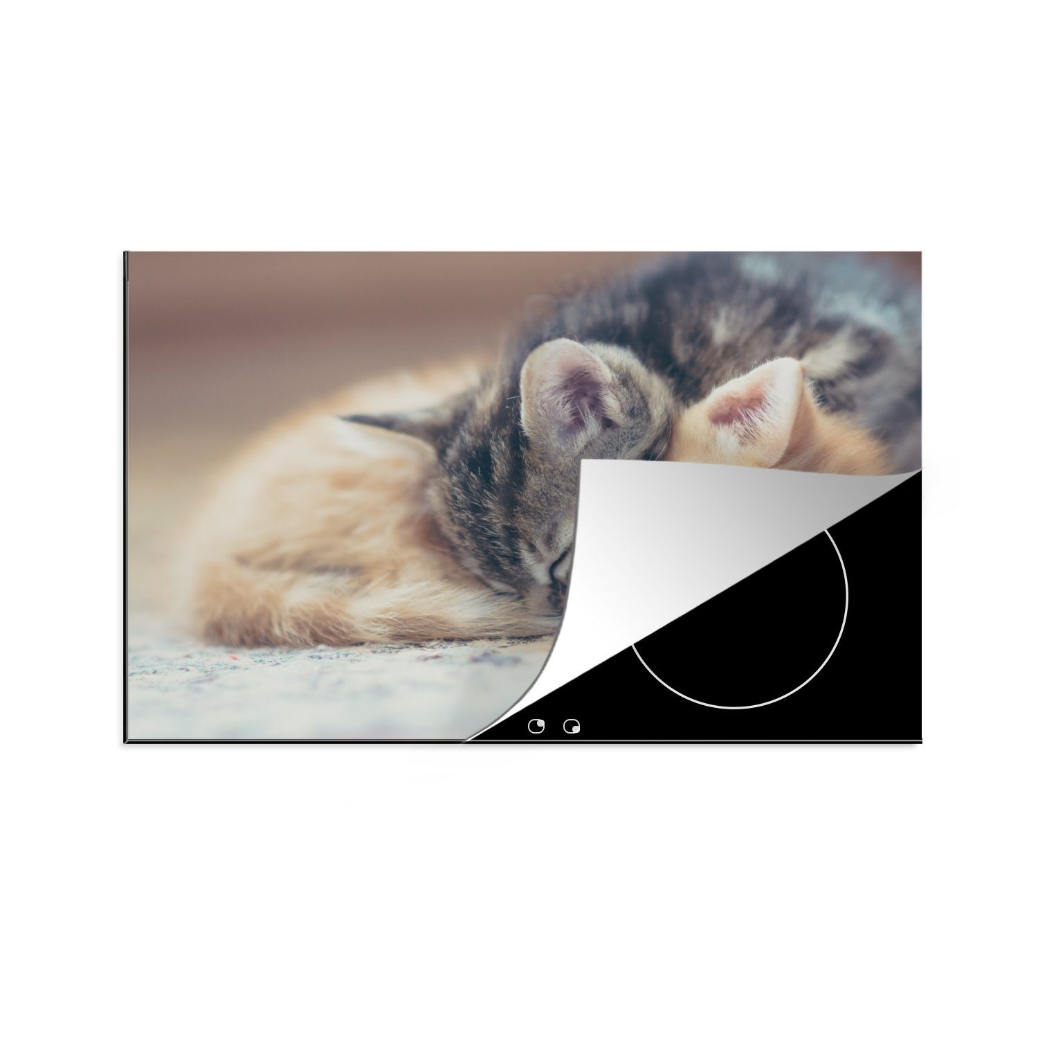 Kätzchen, 81x52 cm, Induktionskochfeld MuchoWow Herdblende-/Abdeckplatte (1 die tlg), Schutz Schlafende küche, Vinyl, Ceranfeldabdeckung für