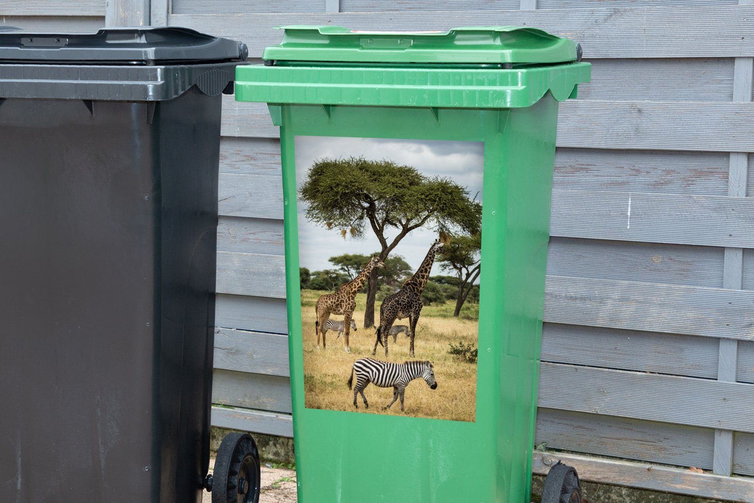 Abfalbehälter Container, MuchoWow des Mülltonne, Savanne in Mülleimer-aufkleber, der (1 Wandsticker Sticker, Zebras und Giraffen St), gemeinsam