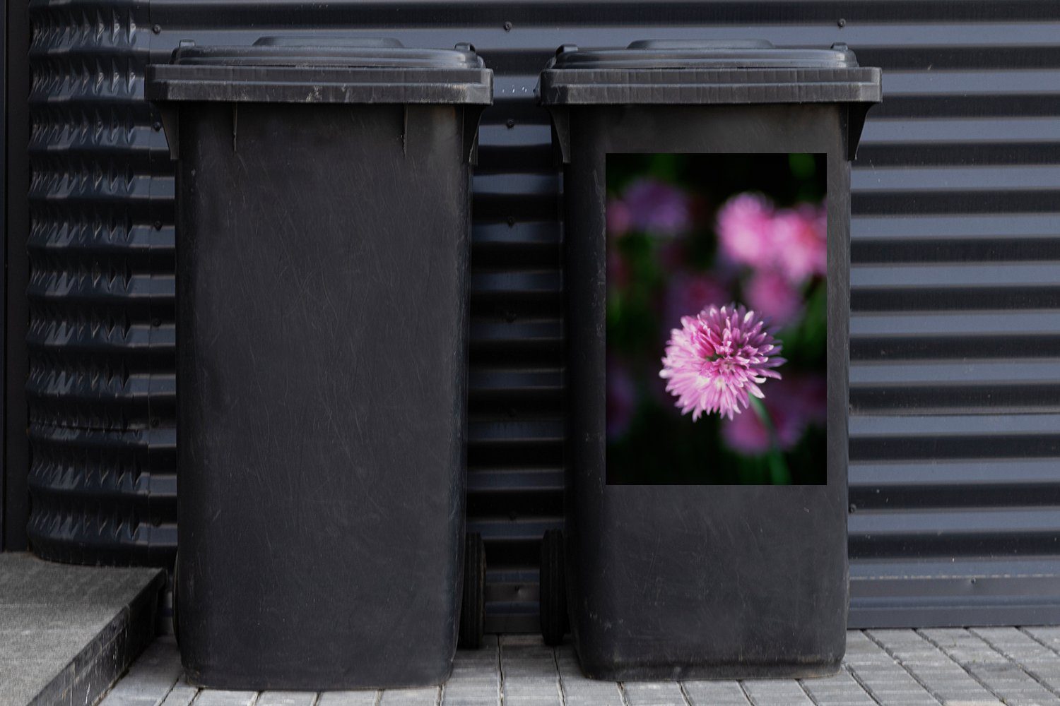 Container, Mülltonne, (1 MuchoWow St), eines Schnittlauchgewächses Sticker, Wandsticker Mülleimer-aufkleber, Blüte Abfalbehälter