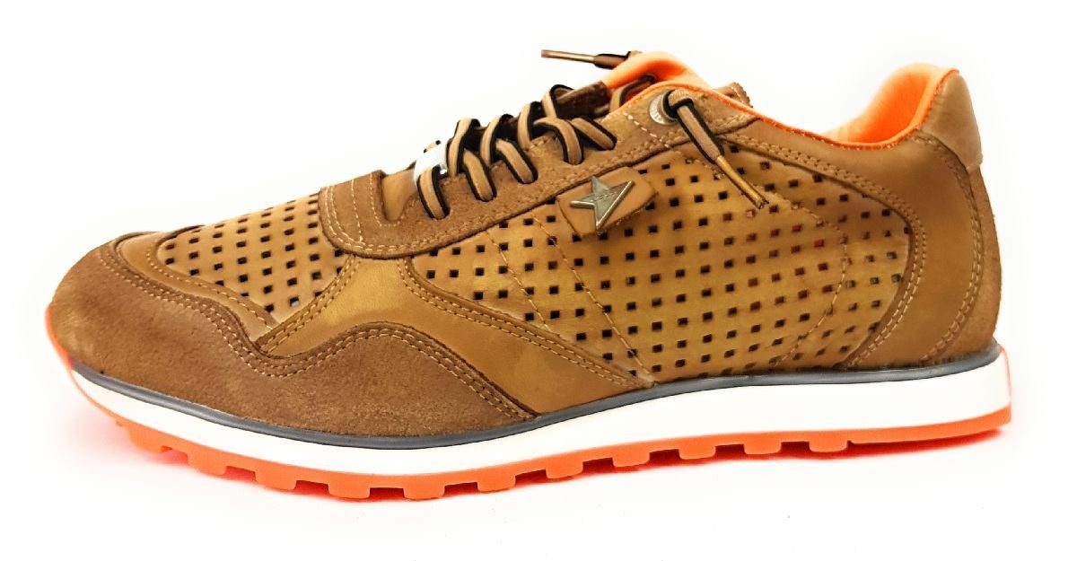 cetti sneaker online shop