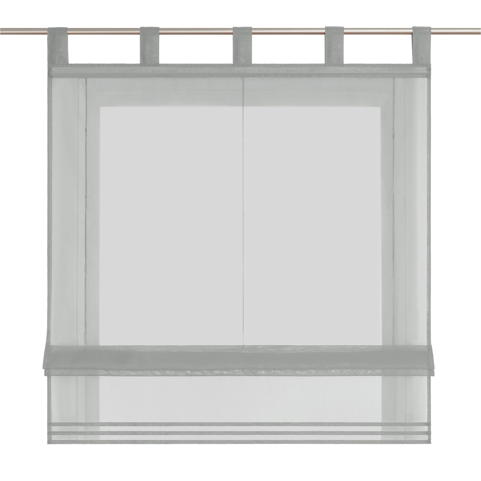 Delien Raffrollo Sophia, mit Schlaufen, Voile Uni Wohnzimmer Gardine günstig online kaufen