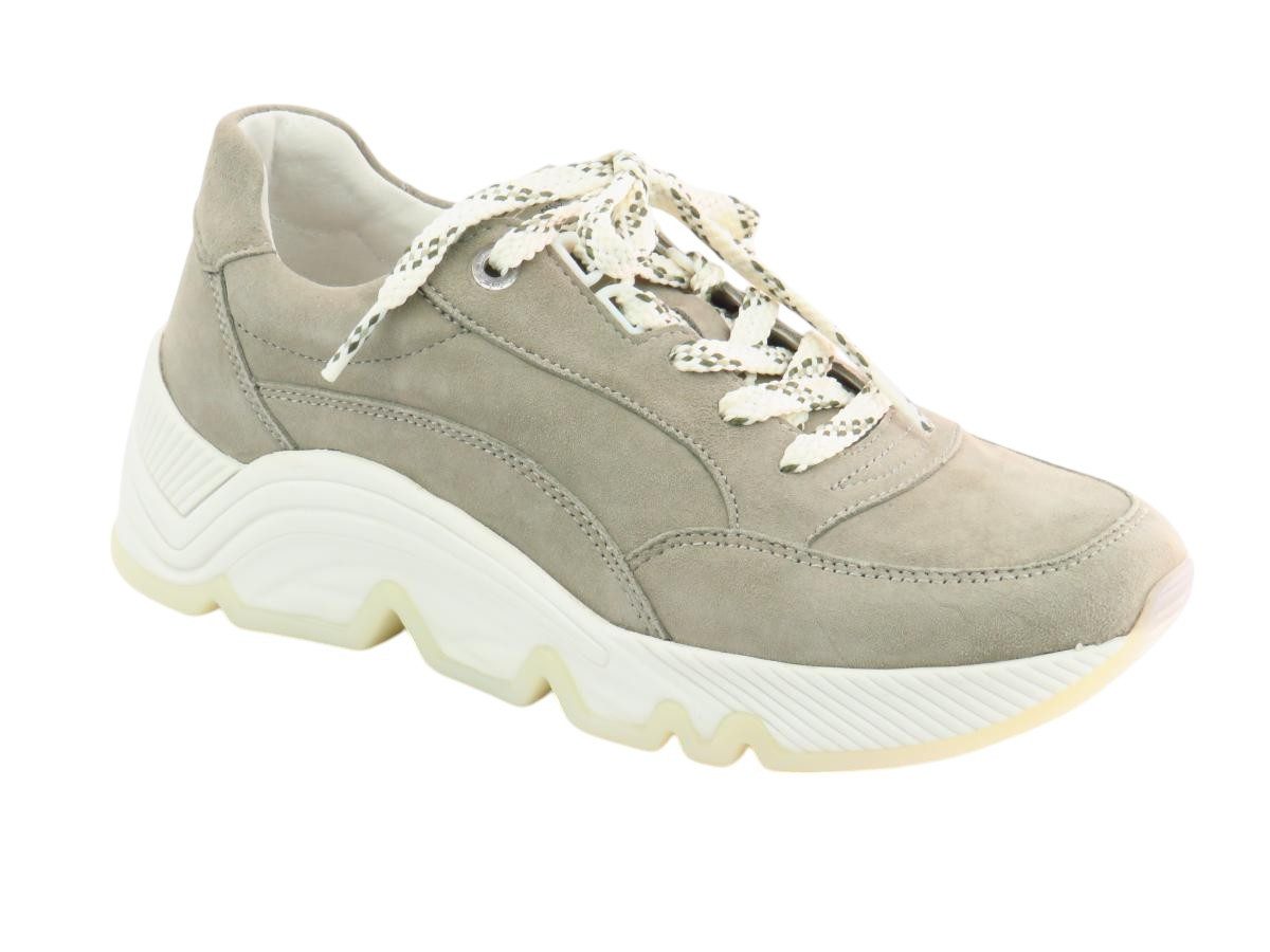 Samtchevreau schilf Sneaker