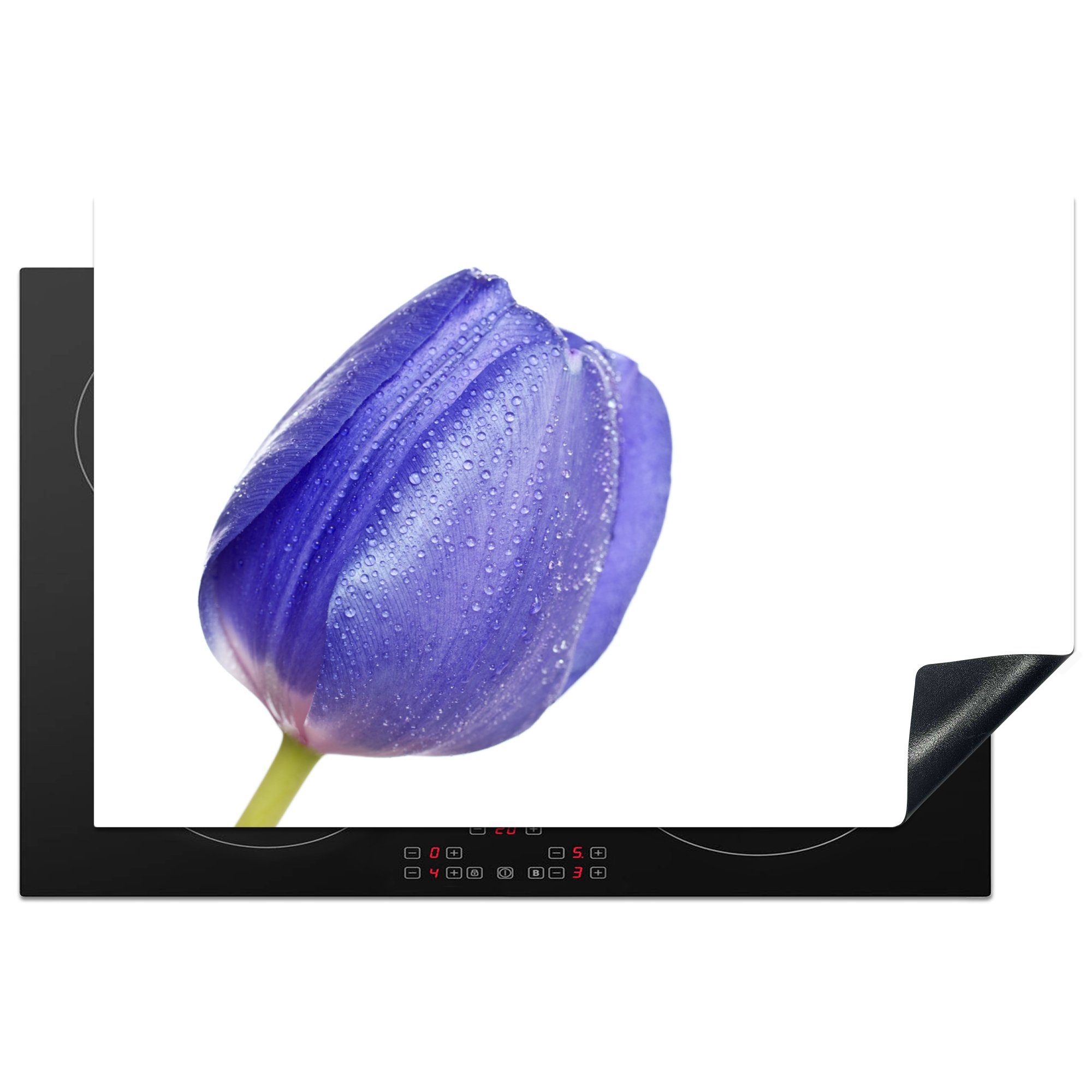 MuchoWow Herdblende-/Abdeckplatte Blaue Tulpe mit Wassertropfen, Vinyl, (1 tlg), 81x52 cm, Induktionskochfeld Schutz für die küche, Ceranfeldabdeckung