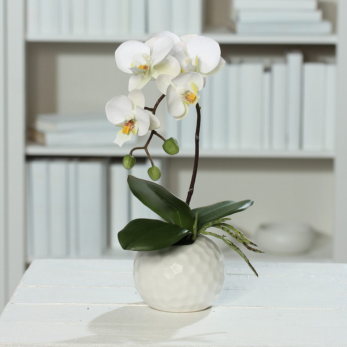 Kunstorchidee Phalaenopsis 33cm, mucPlants, im weißem Keramiktopf