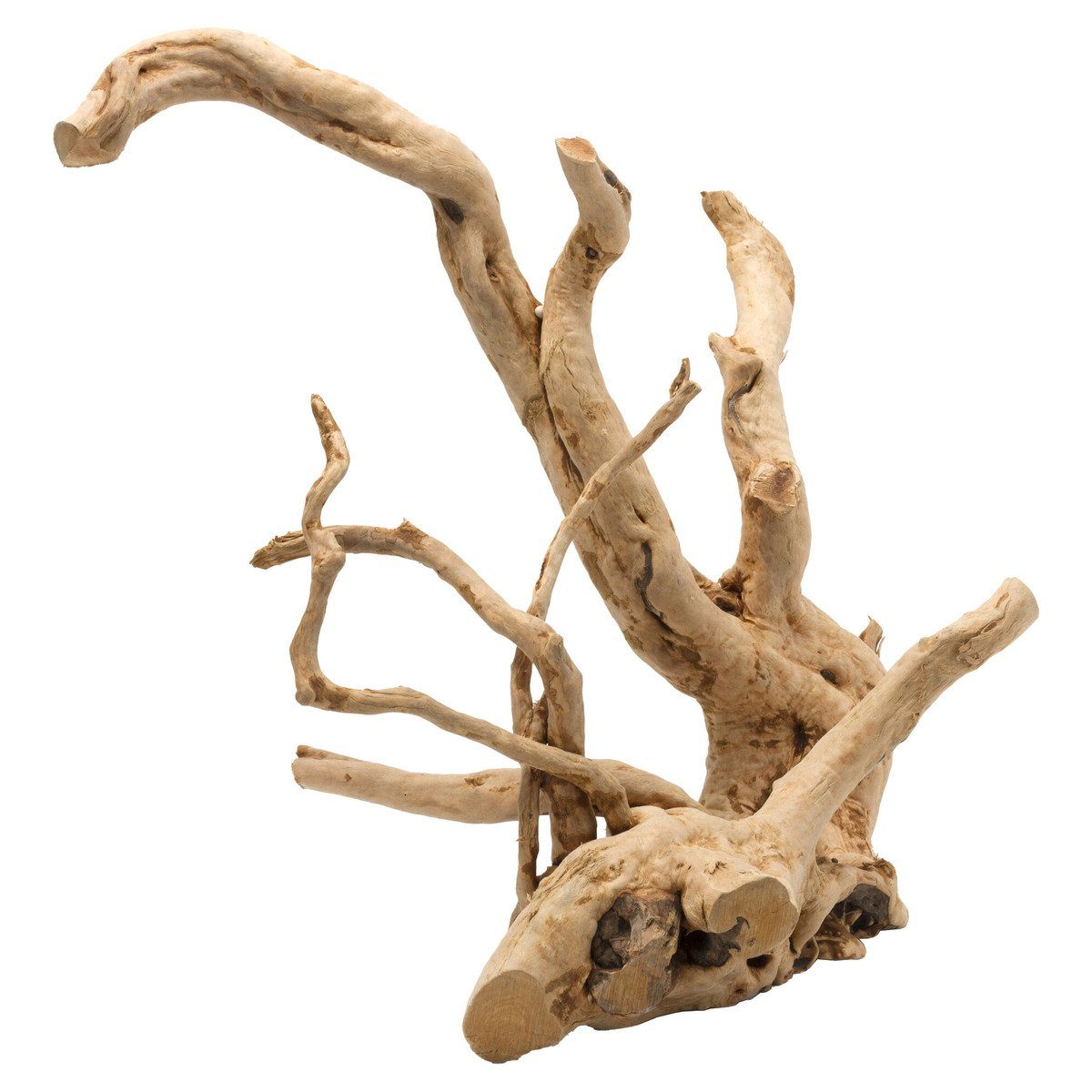 Europet-Bernina Aquariendeko Aquarium Dekoration Driftwood poliert braun
