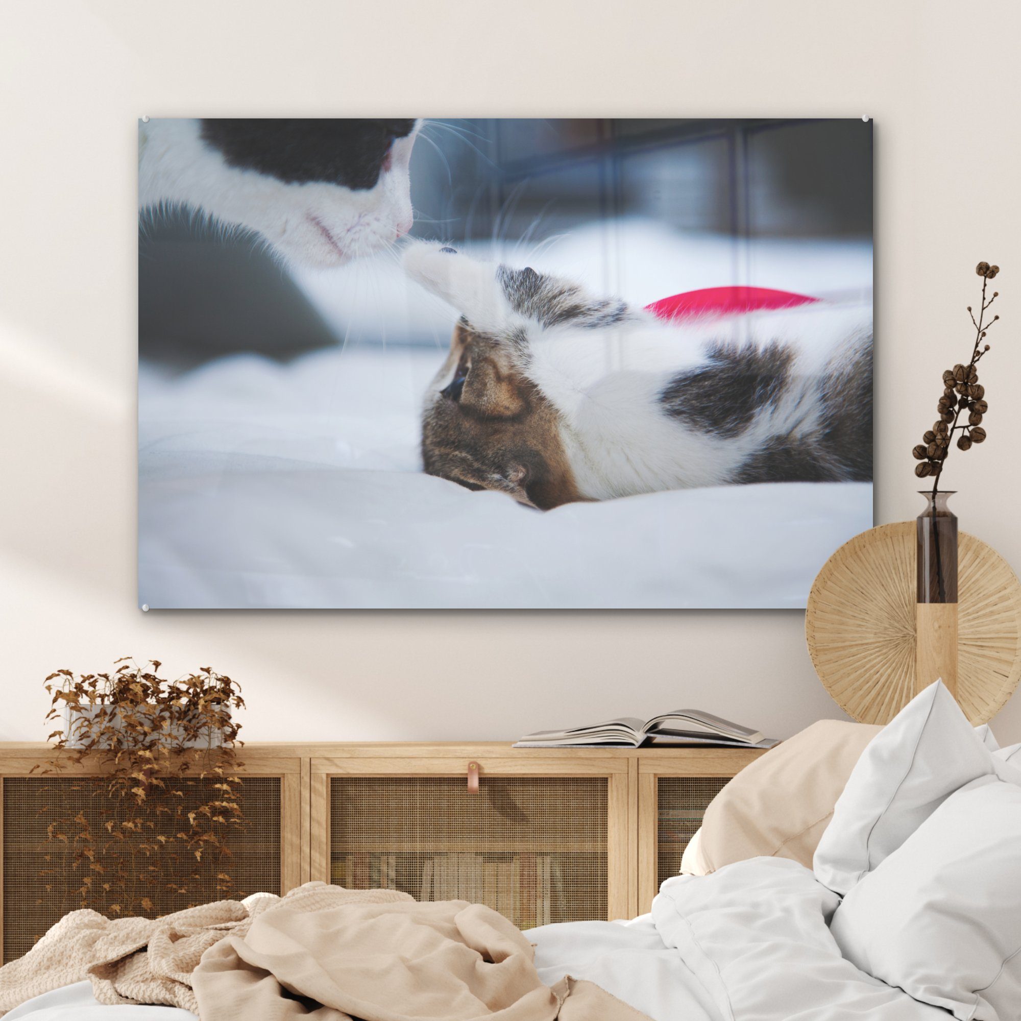 & Schlafzimmer (1 Acrylglasbild Katze St), - MuchoWow Wohnzimmer Acrylglasbilder - Kätzchen Bettlaken,