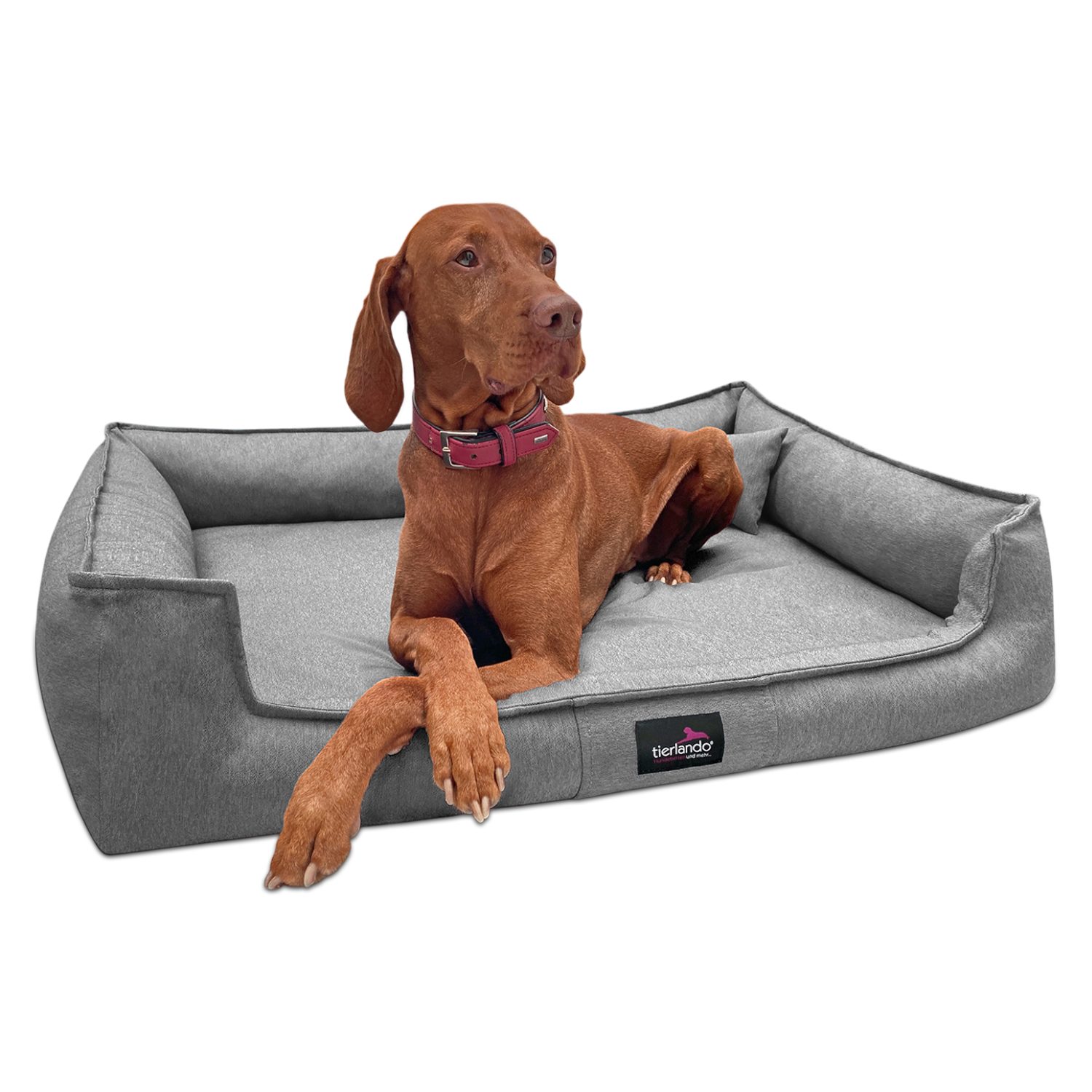 tierlando® Tierbett Orthopädisches Hundebett GUSTAV SCANDI günstig online kaufen