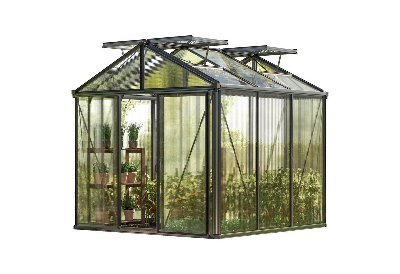 GFP Gewächshaus Diamas 21 Light Farbe M... GFP Gewächshaus Diamas 21 Light Farbe M...