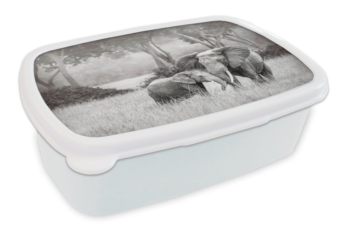 MuchoWow Lunchbox Elefant - Tiere - Natur - Schwarz und weiß, Kunststoff, (2-tlg), Brotbox für Kinder und Erwachsene, Brotdose, für Jungs und Mädchen