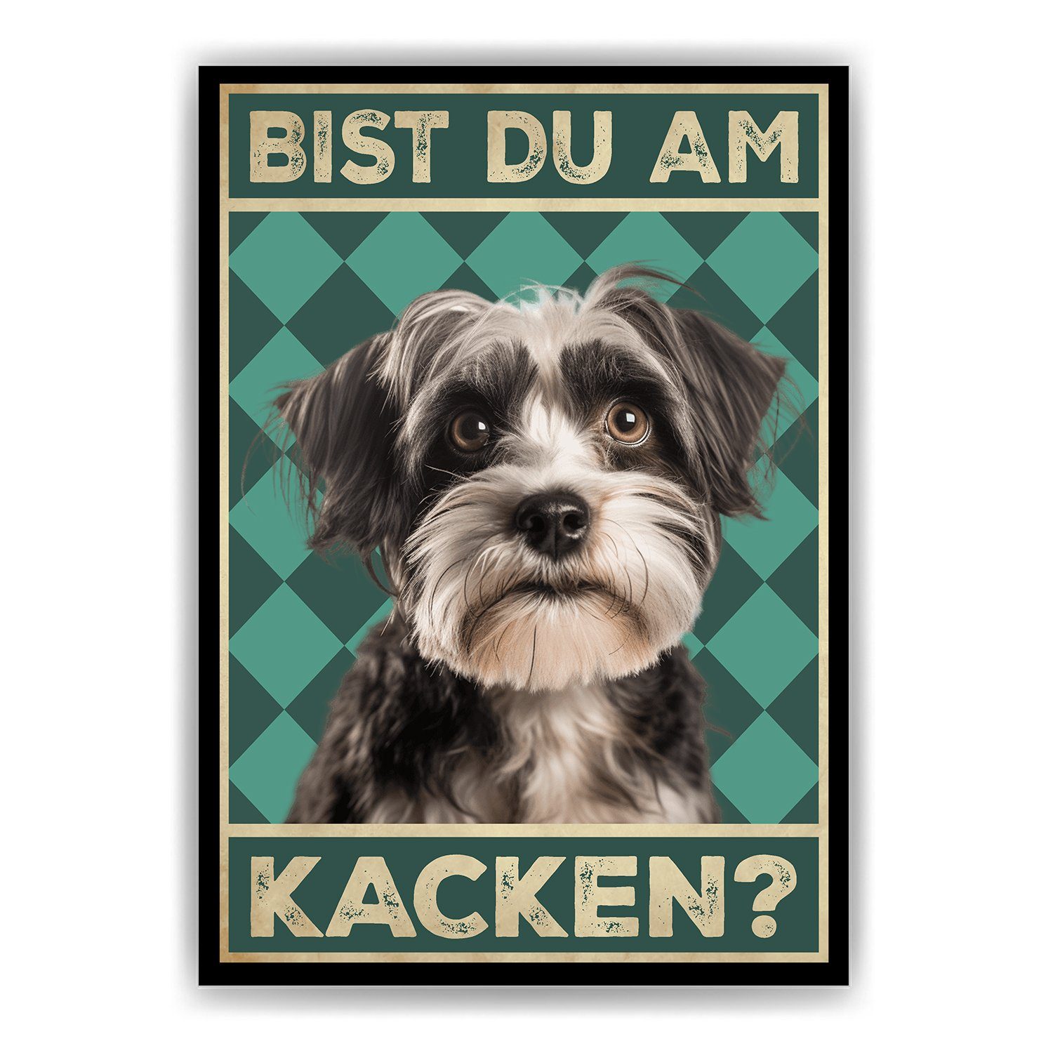 Tigerlino Poster Bist du am Kacken? Hunde Wandbild DIN A4 Gästebad Badezimmer Gäste-WC, Havaneser