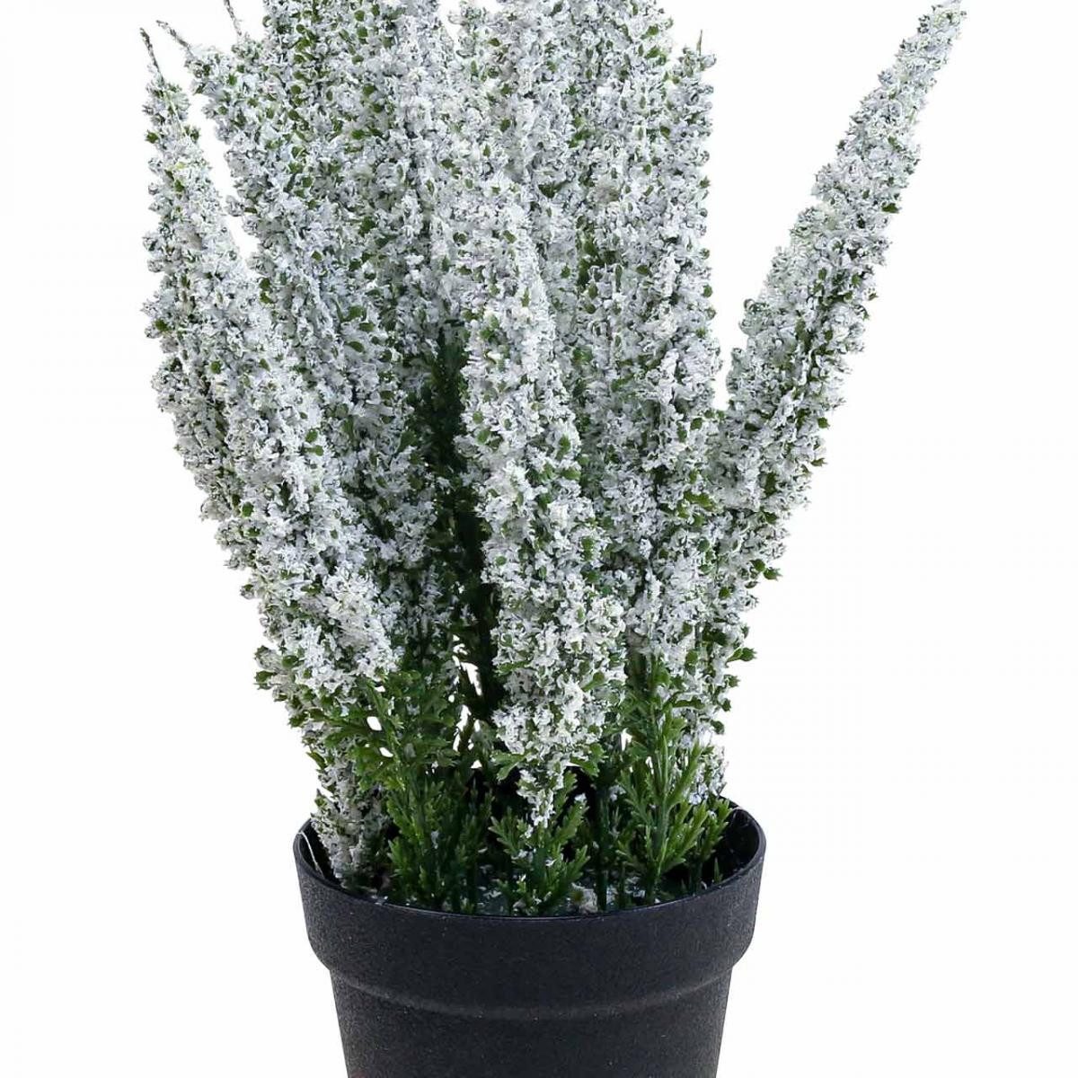 Winterliche Kunstpflanze Erika Weiß Heidekraut Kunstpflanze Deko 26cm Calluna Vulgaris, Florists Products, Höhe 26 cm – Bild 3 von 4