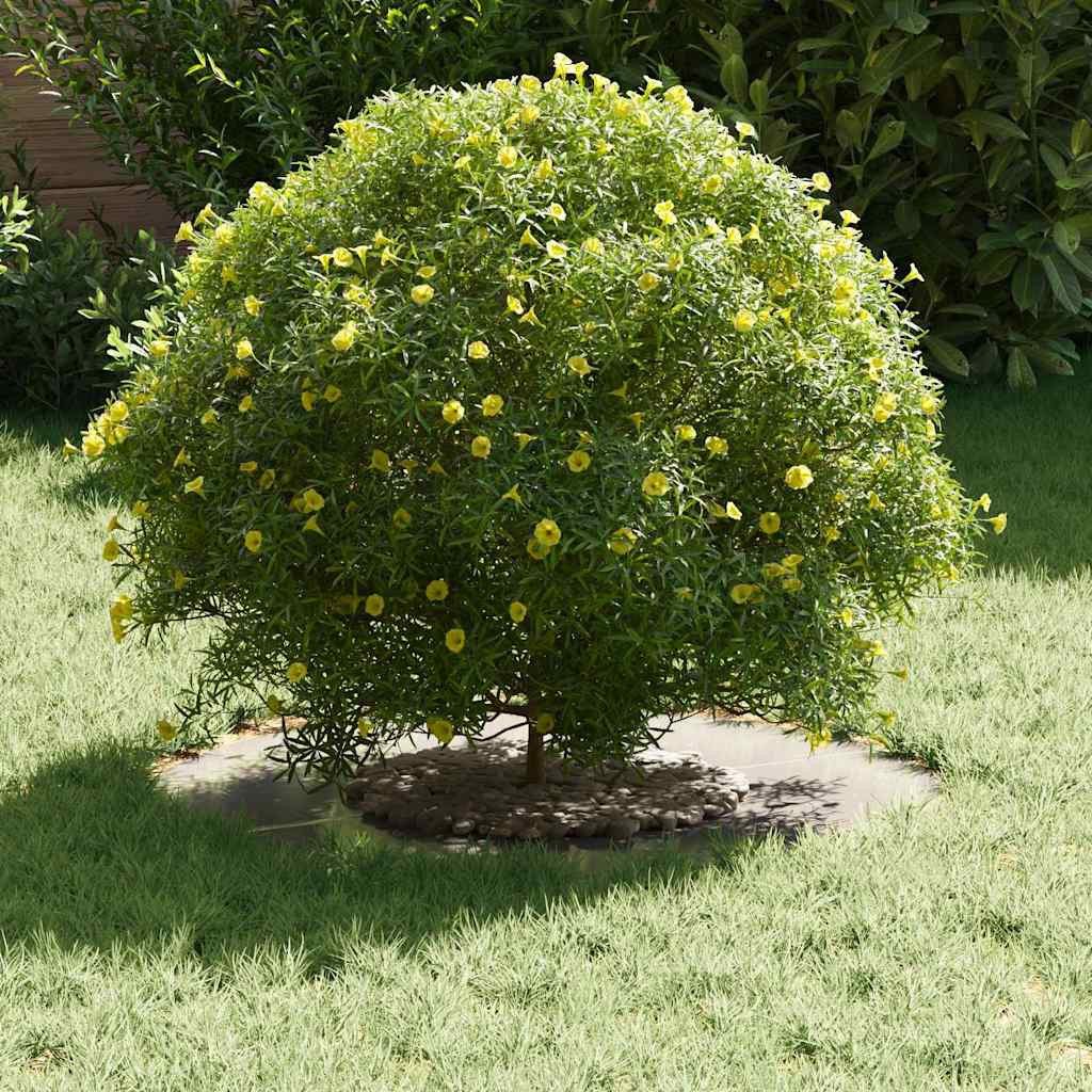 vidaXL Blumentopf Flache Baumringe 5 pcs günstig online kaufen